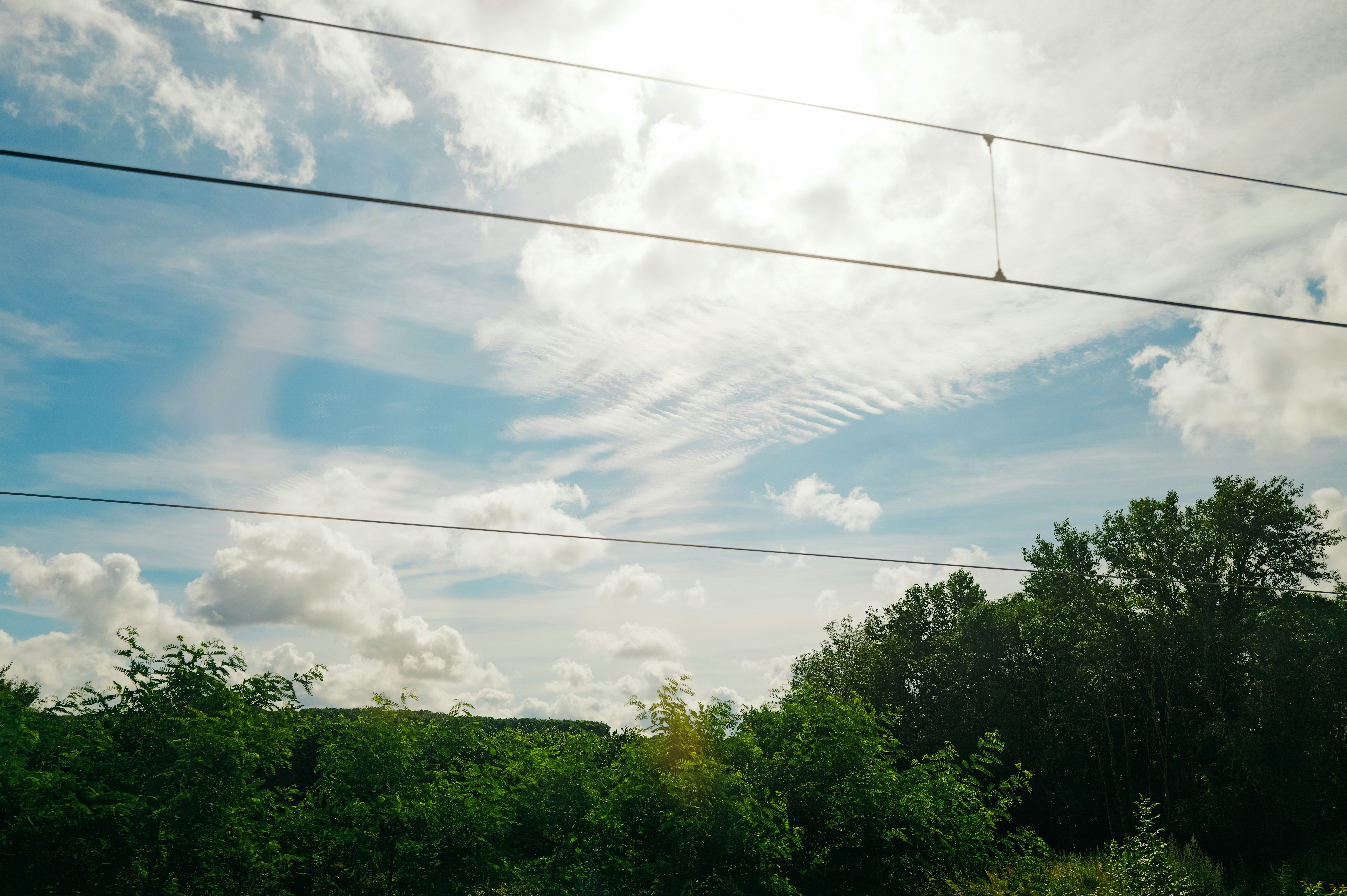 Photo by adrienolichon