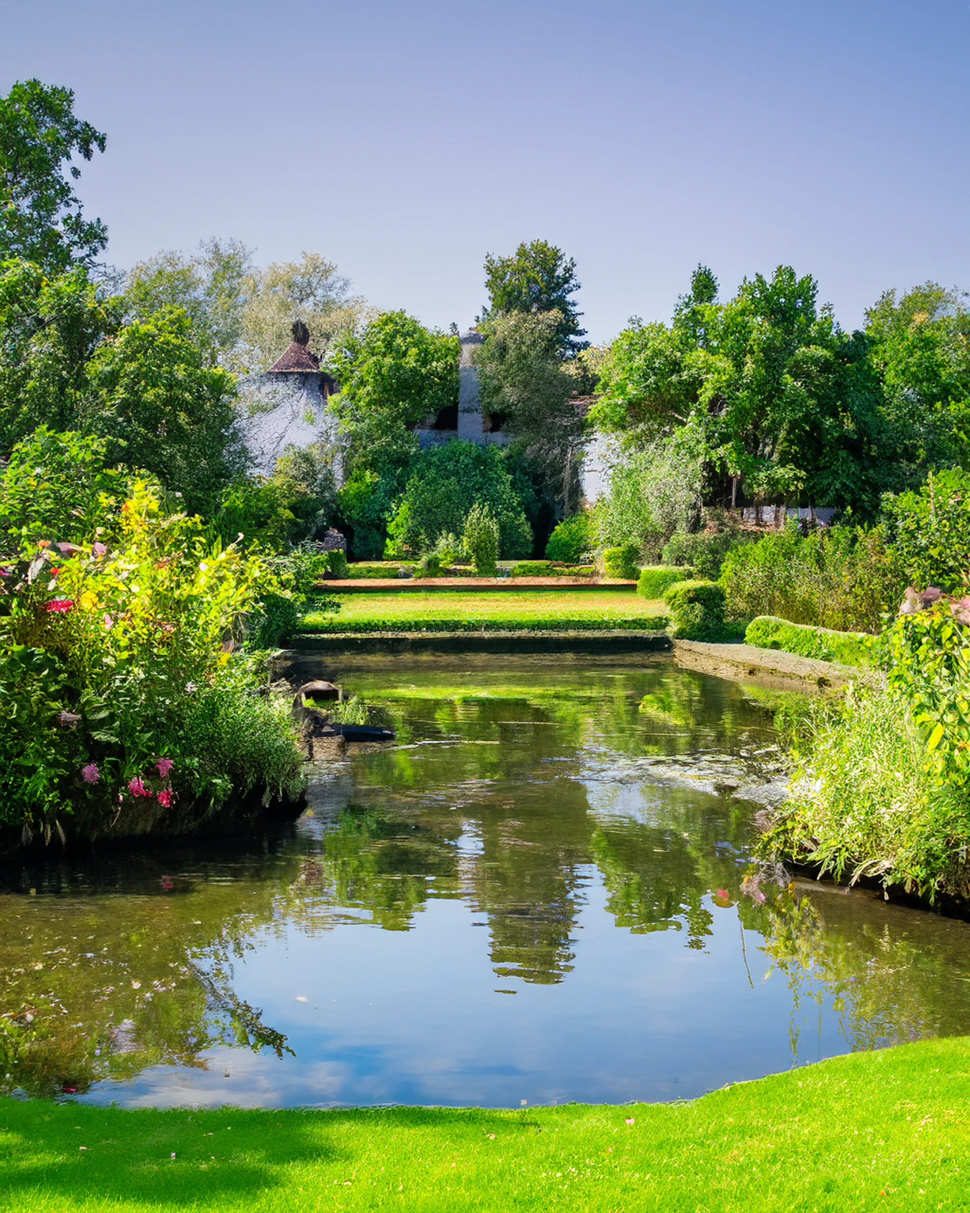A pond surrounded by lush green grass and trees