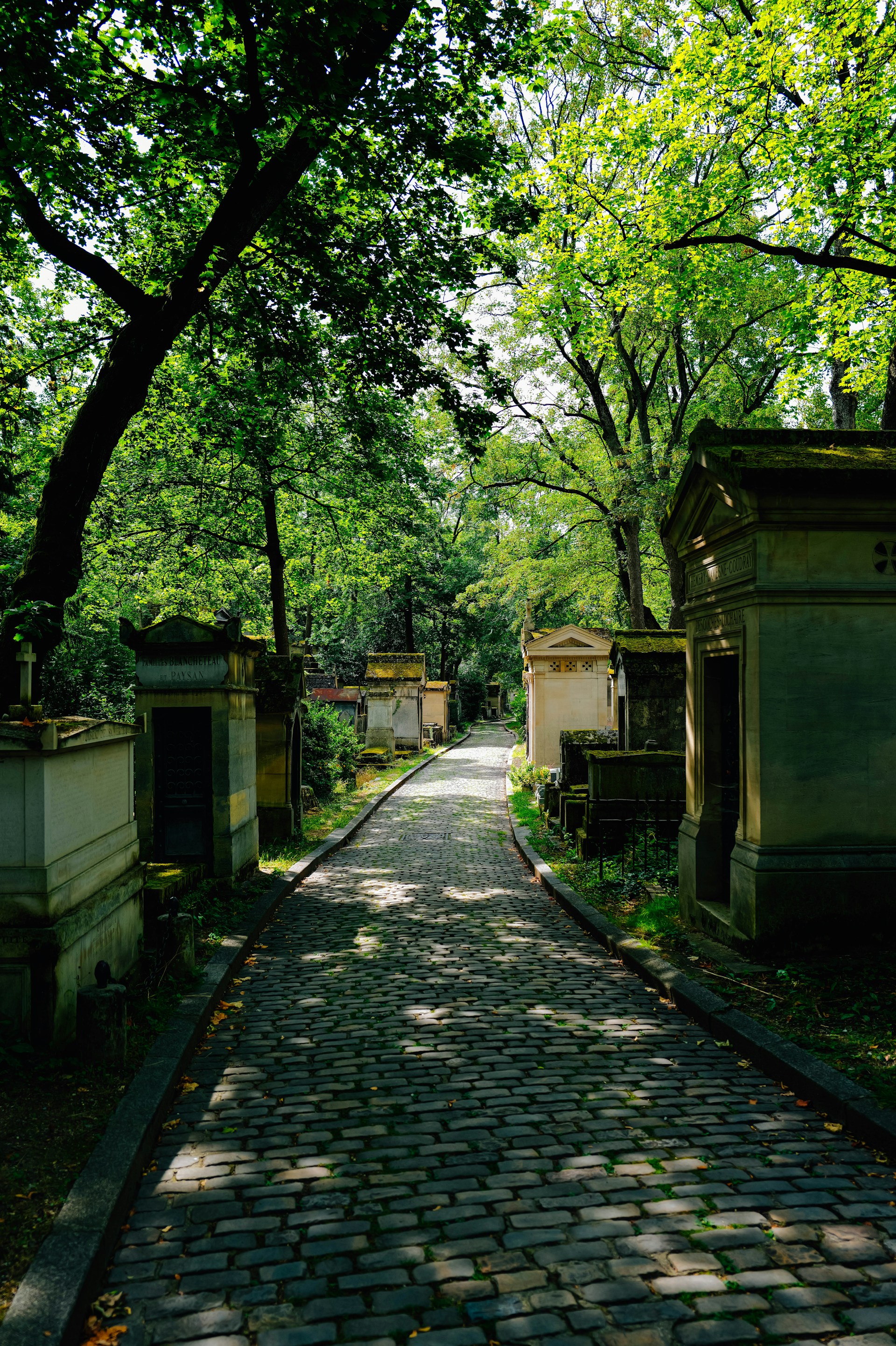 A cobblestone road in a cemetery surrounded by trees