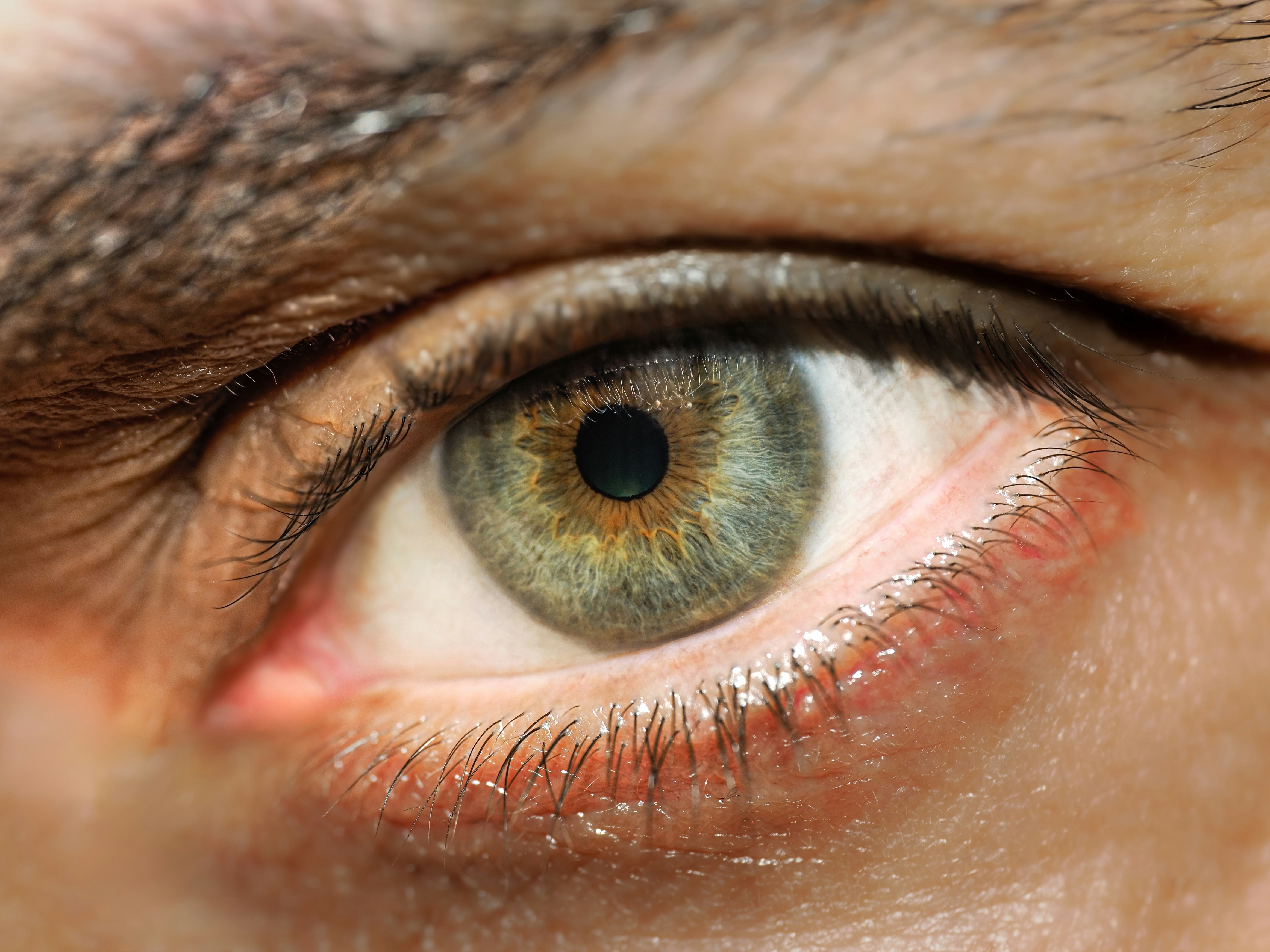 Photo by abushihabmarey