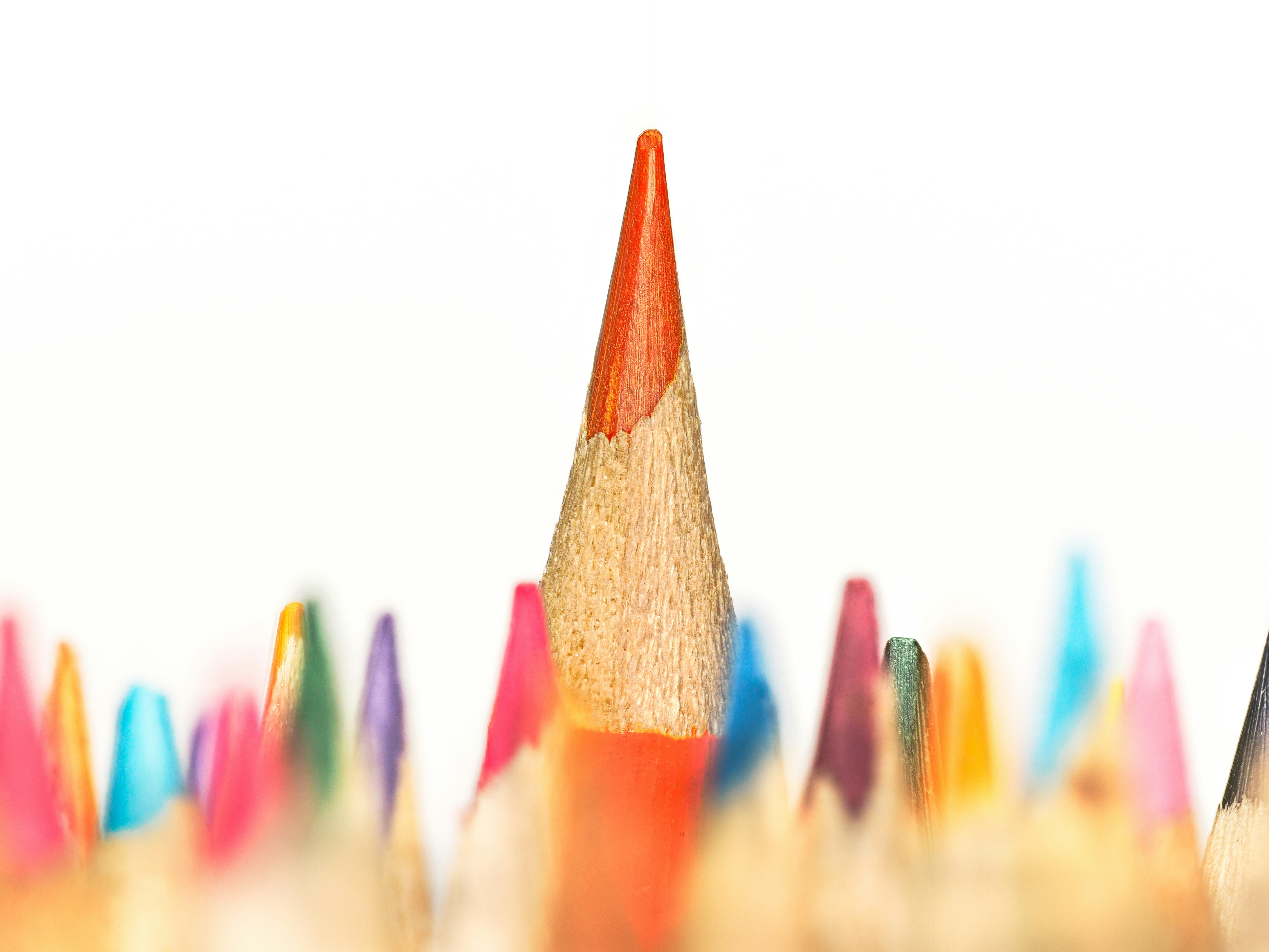 Photo by abushihabmarey