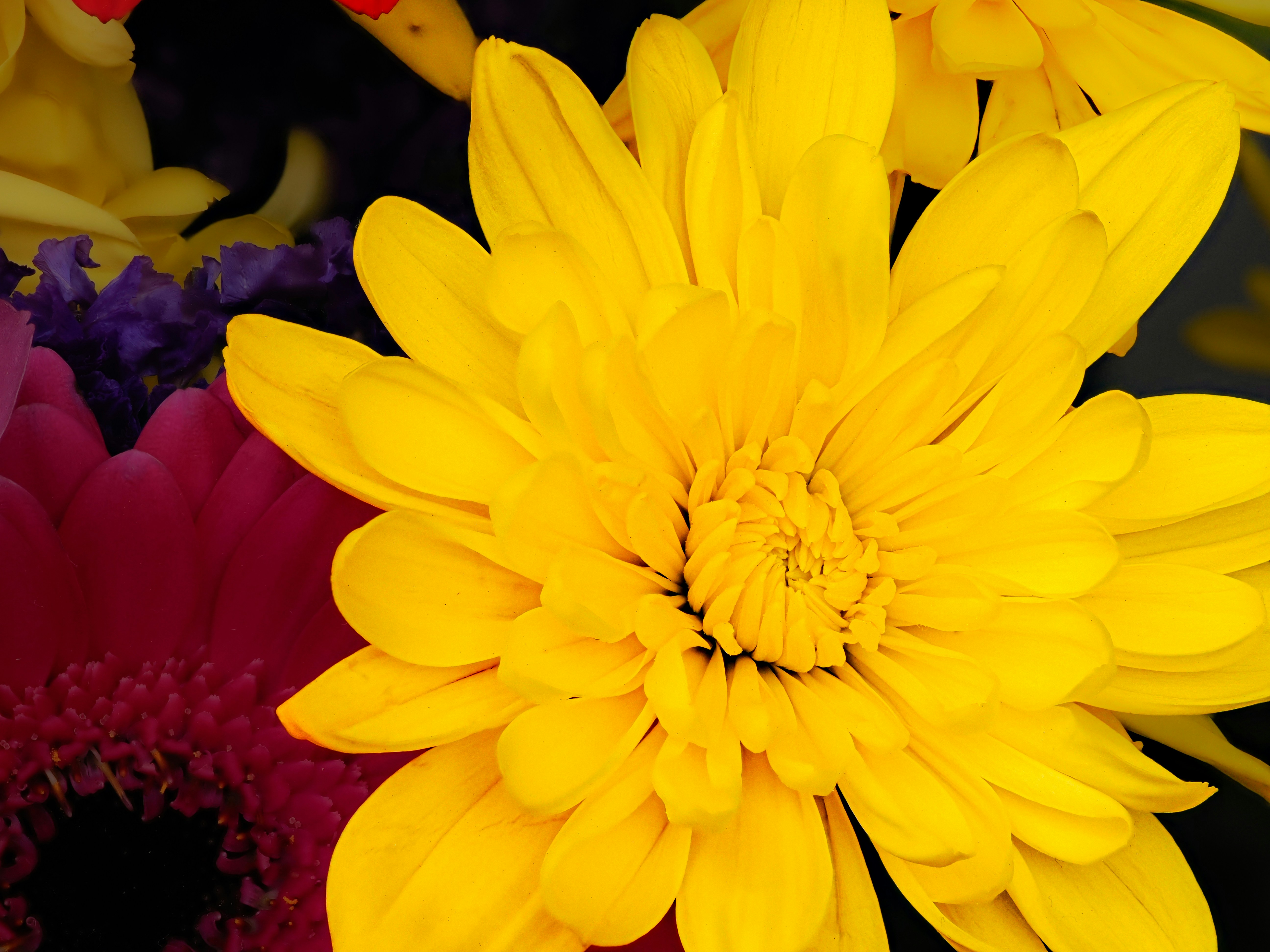 Photo by abushihabmarey