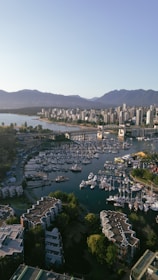 An aerial view of a city and a harbor