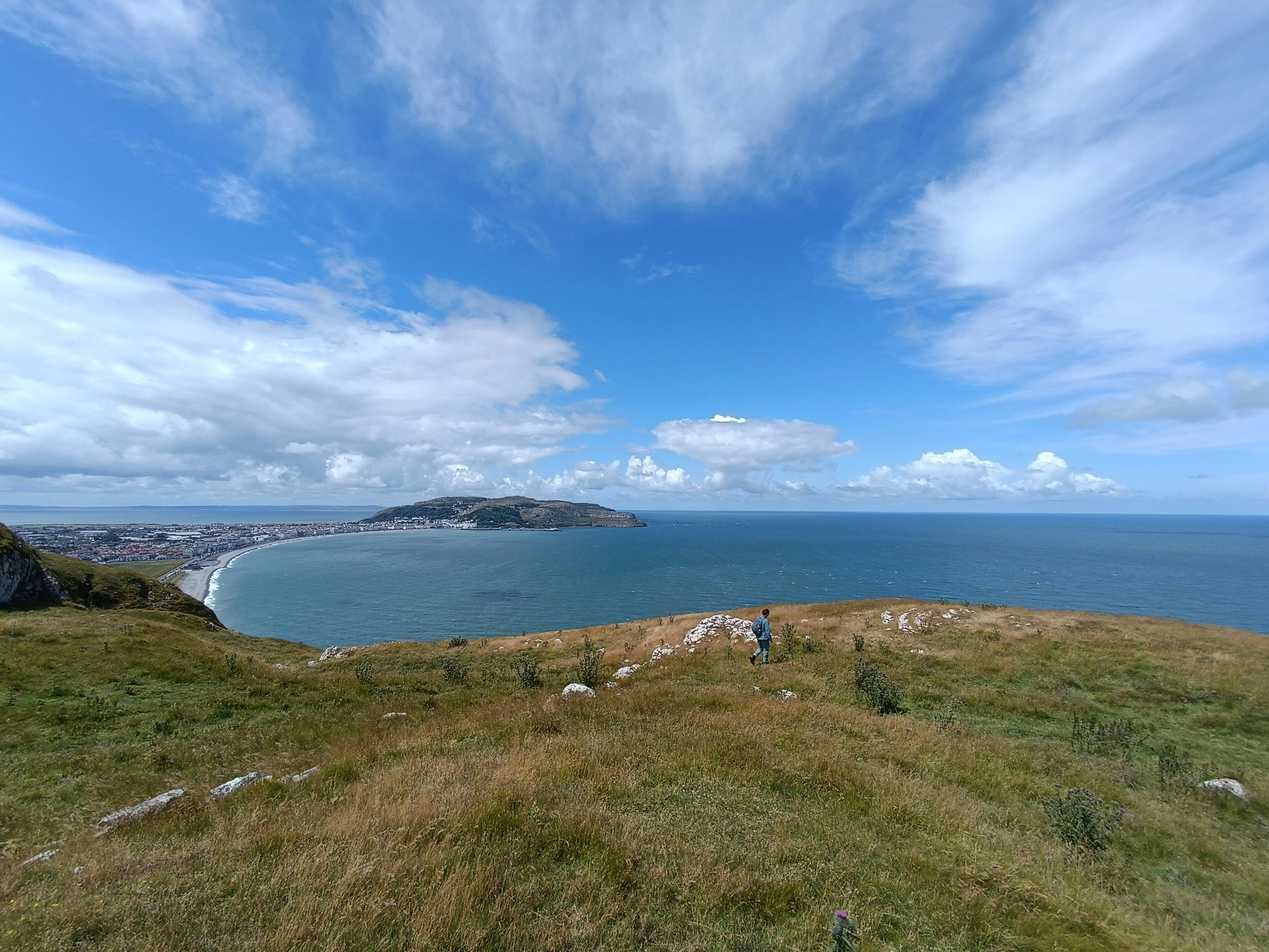 Photo by oxganggreen