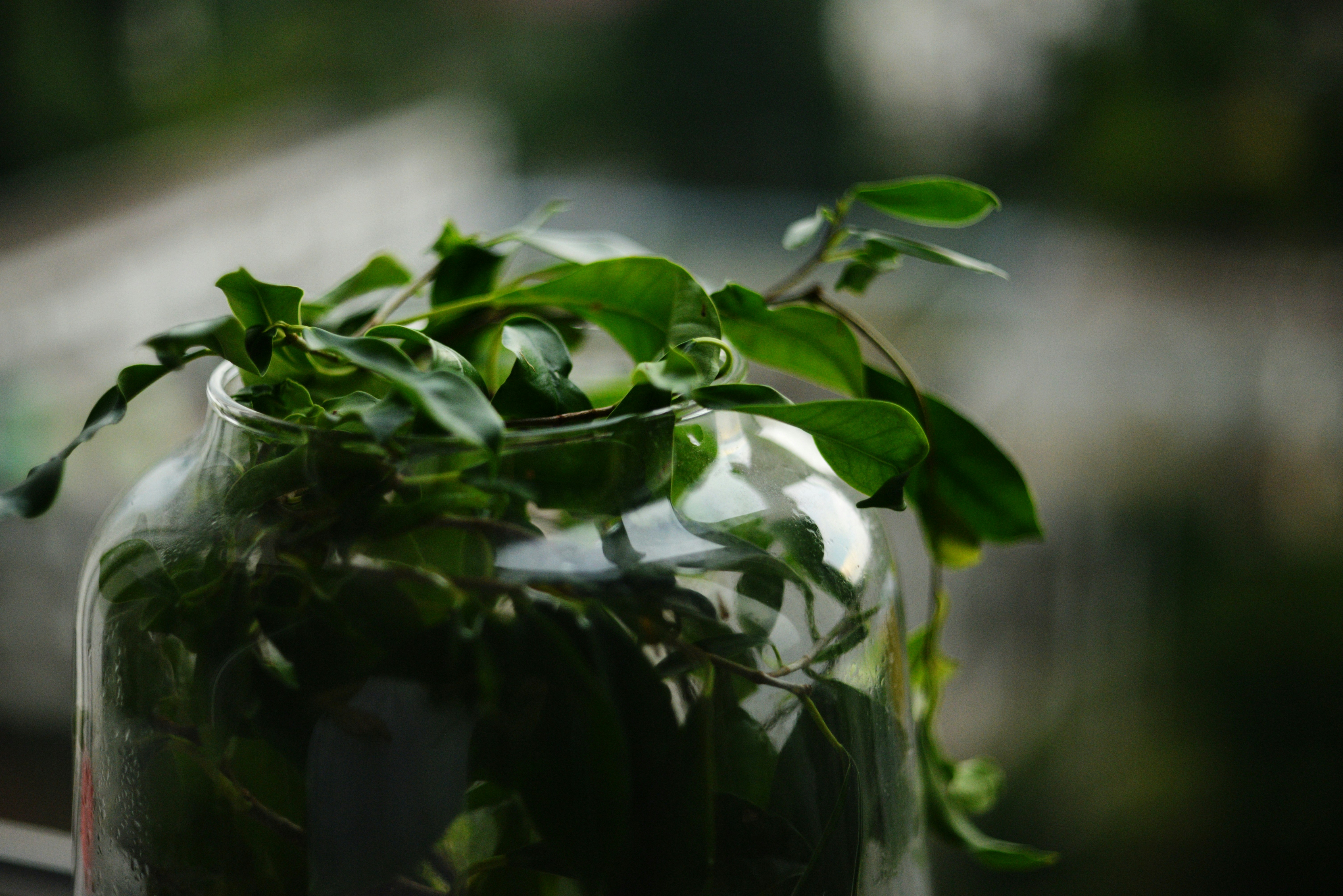 Photo by cherstve_pechivo