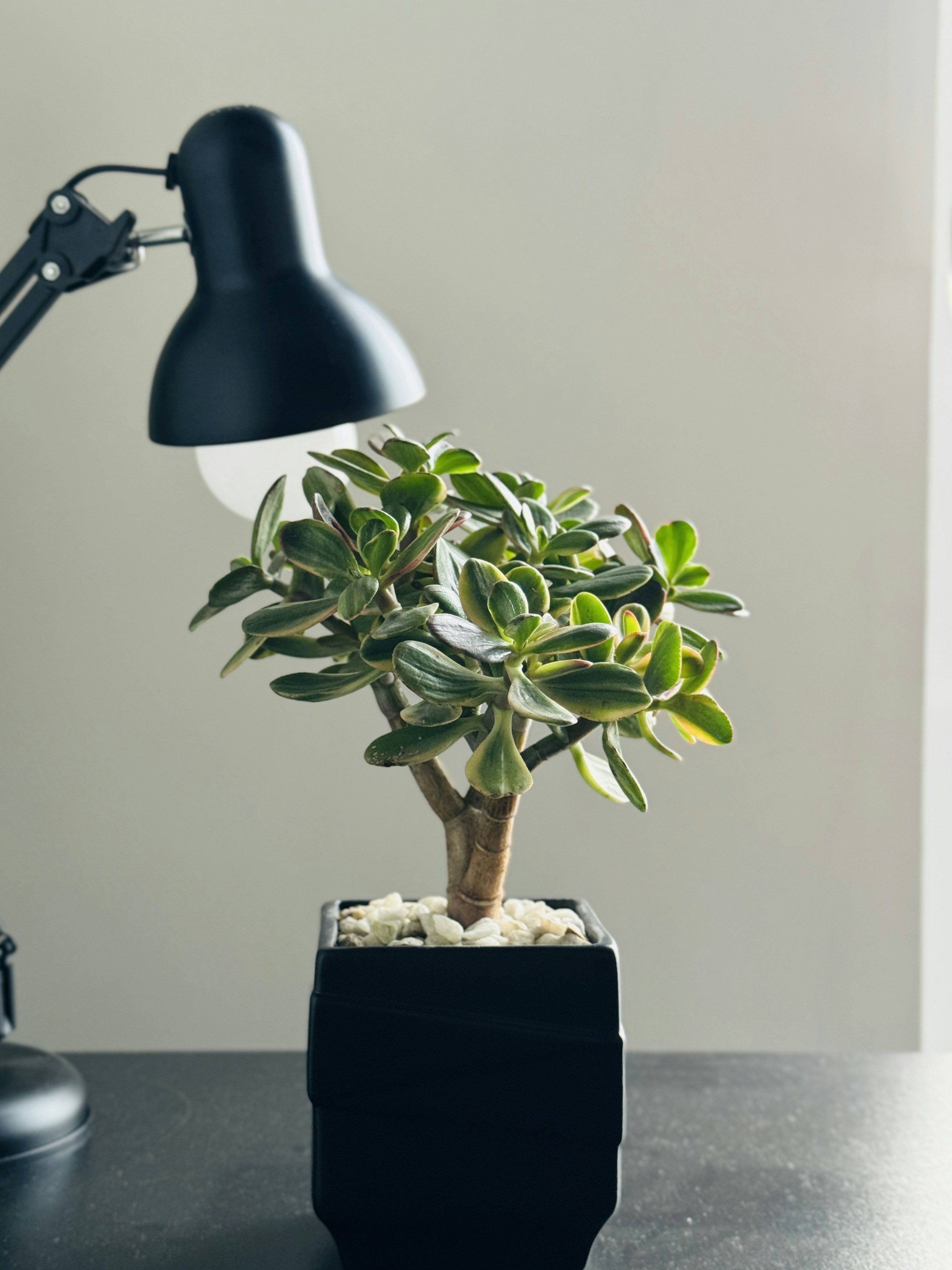 woman wearing yellow long-sleeved dress under white clouds and blue sky during daytime