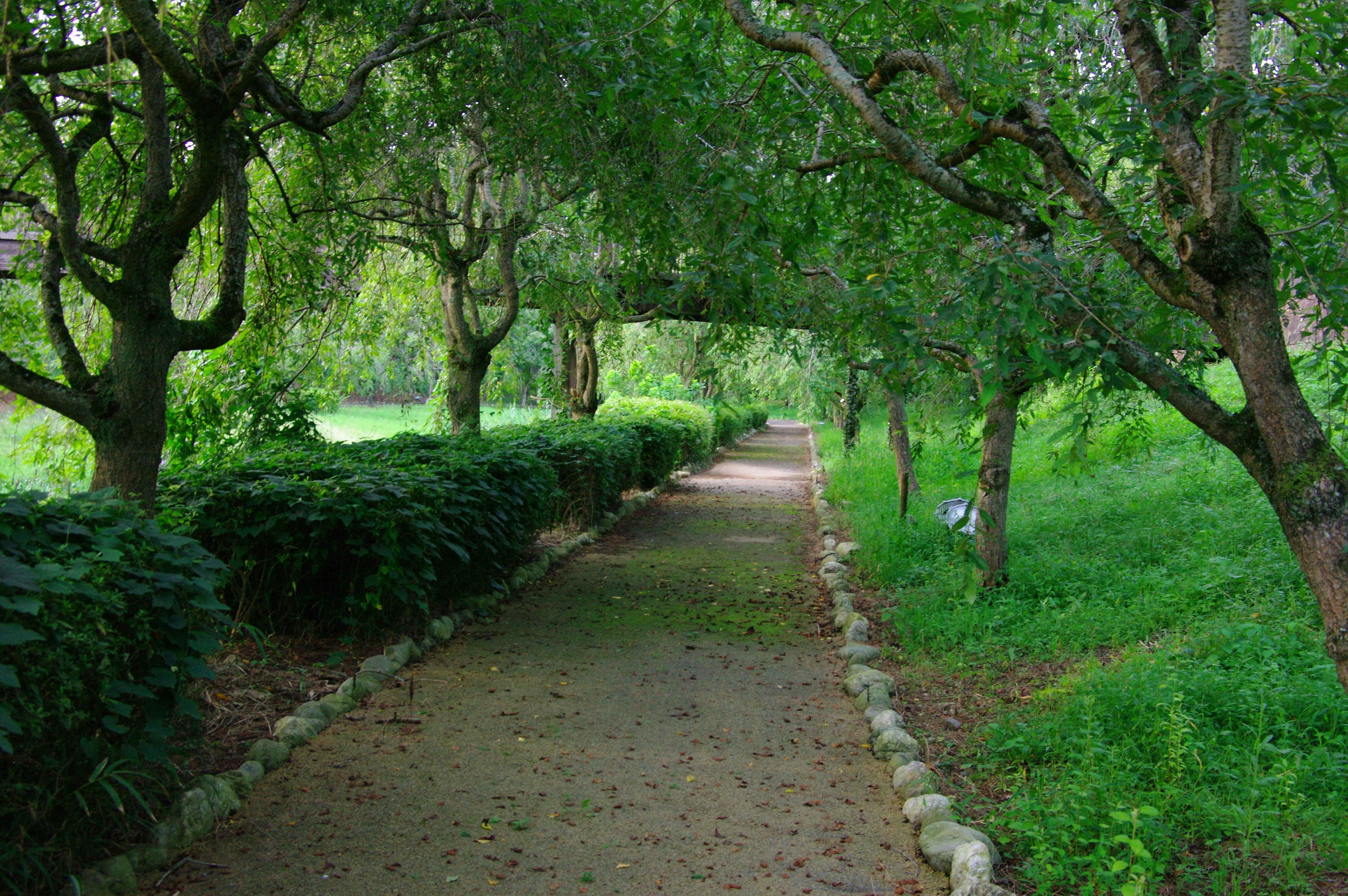 😱 震驚！99% 的人都做錯了！你家根本不是家，是毒窟！