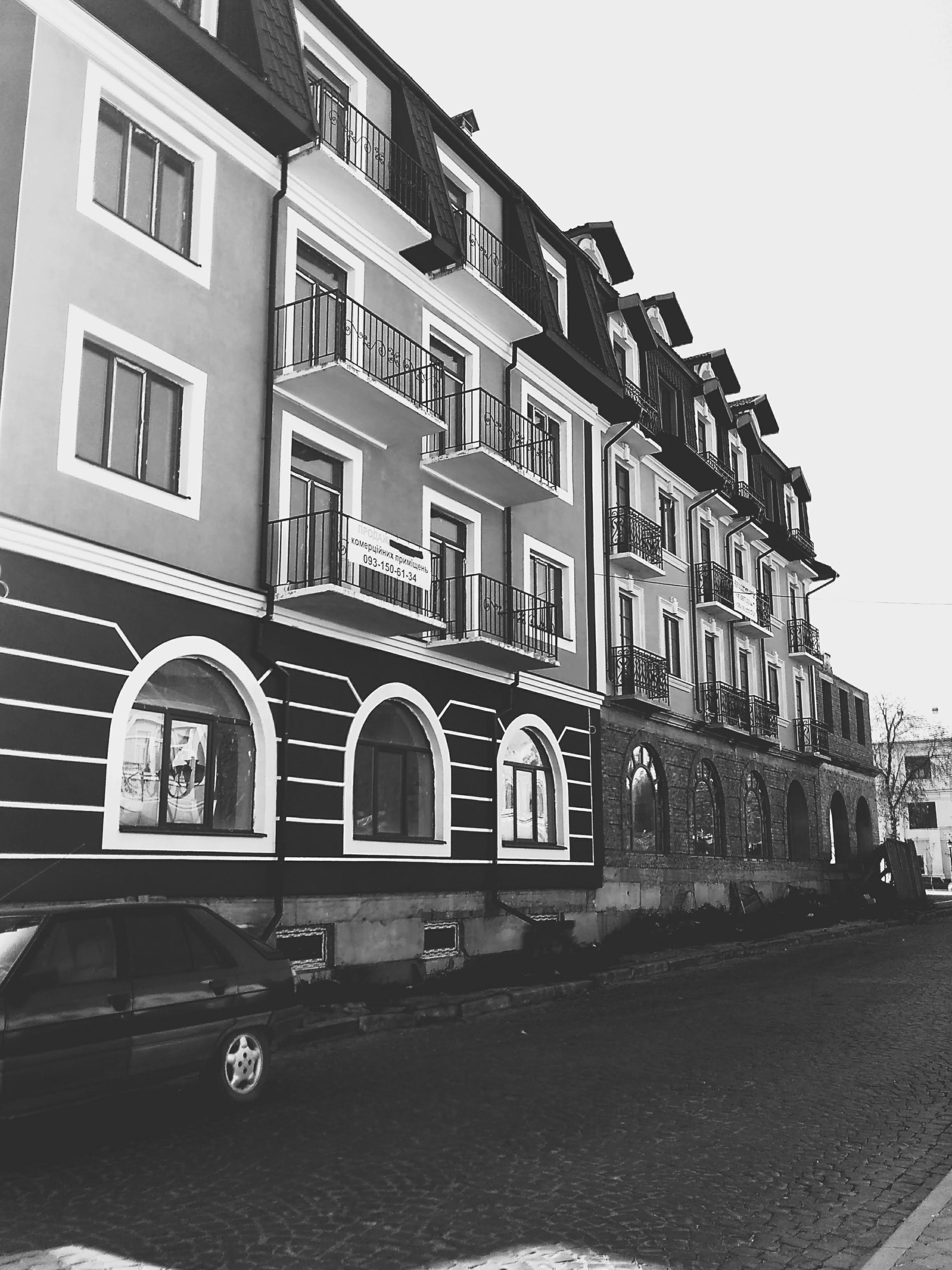 Photo by zlato_vlaska9678