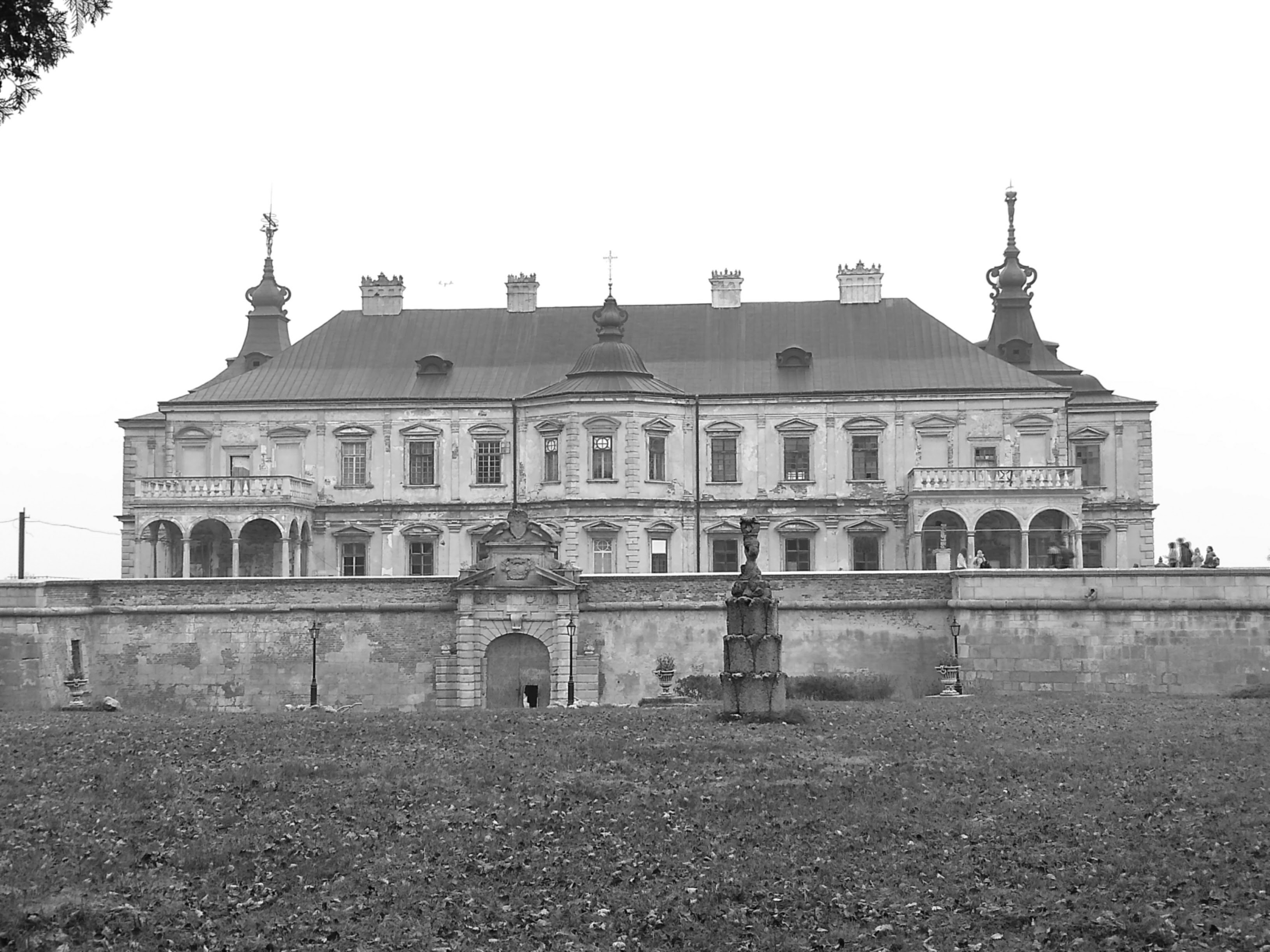 Photo by zlato_vlaska9678