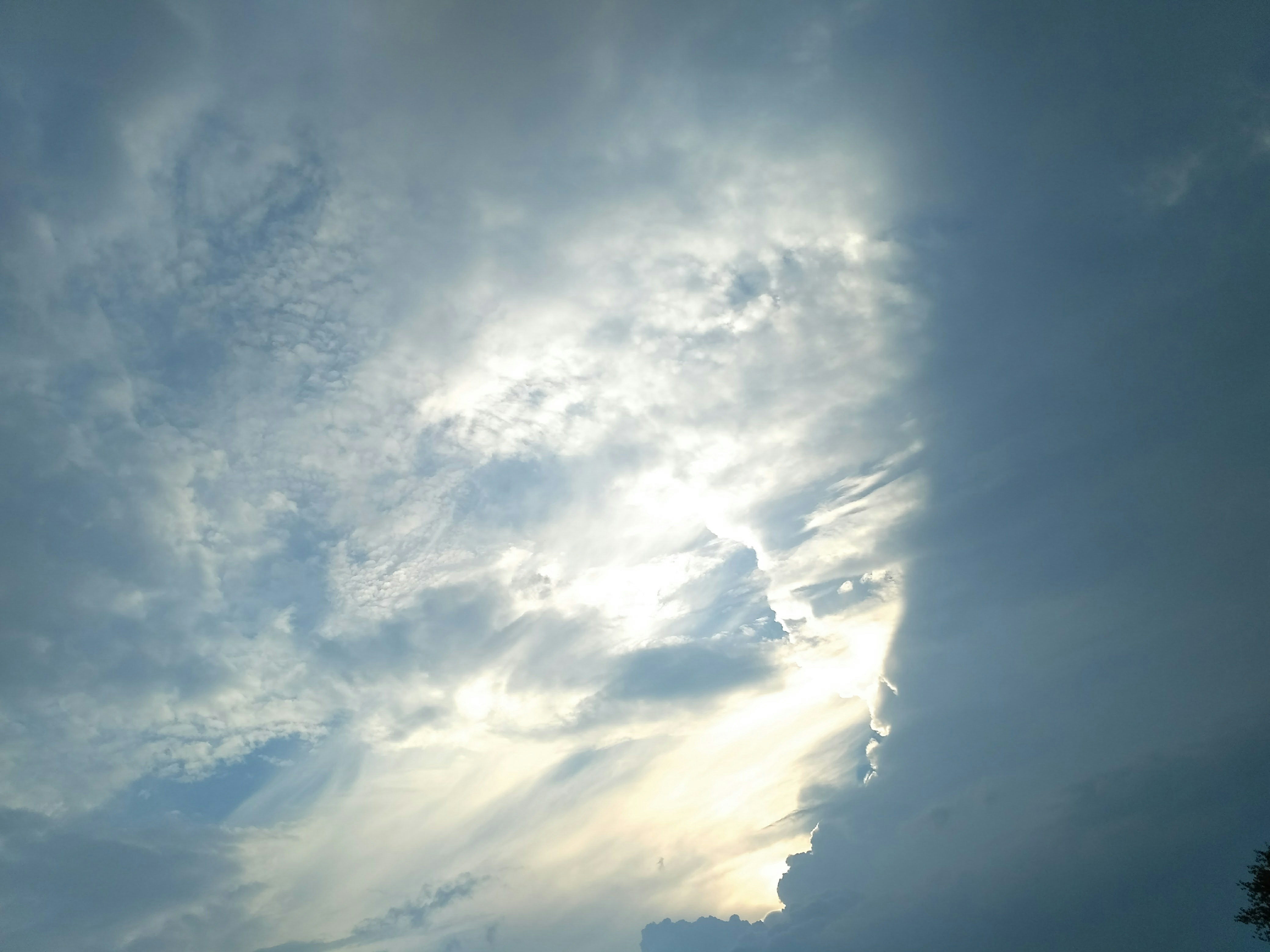 Photo by zlato_vlaska9678