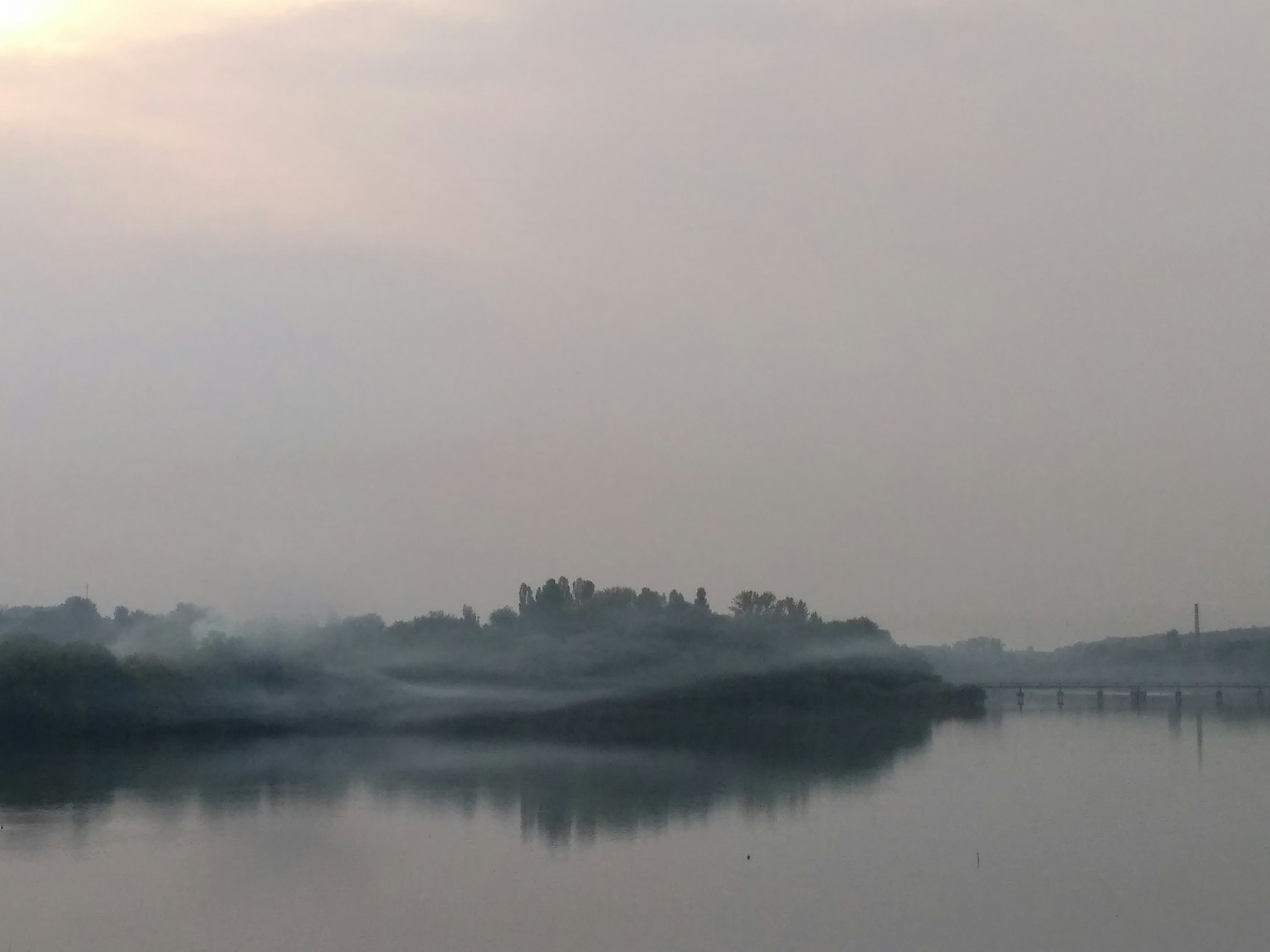 Photo by zlato_vlaska9678