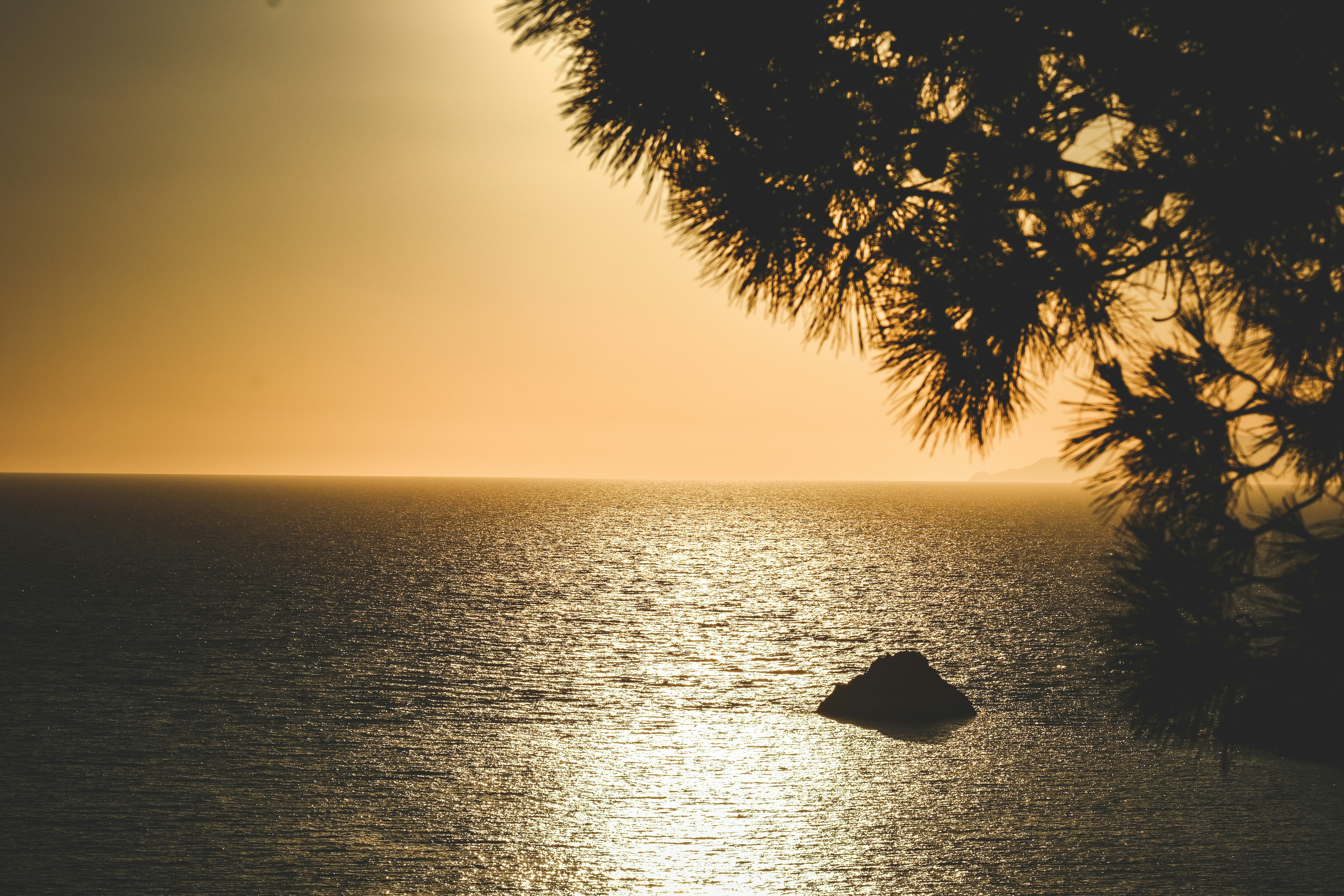 Photo by francesco_ungaro