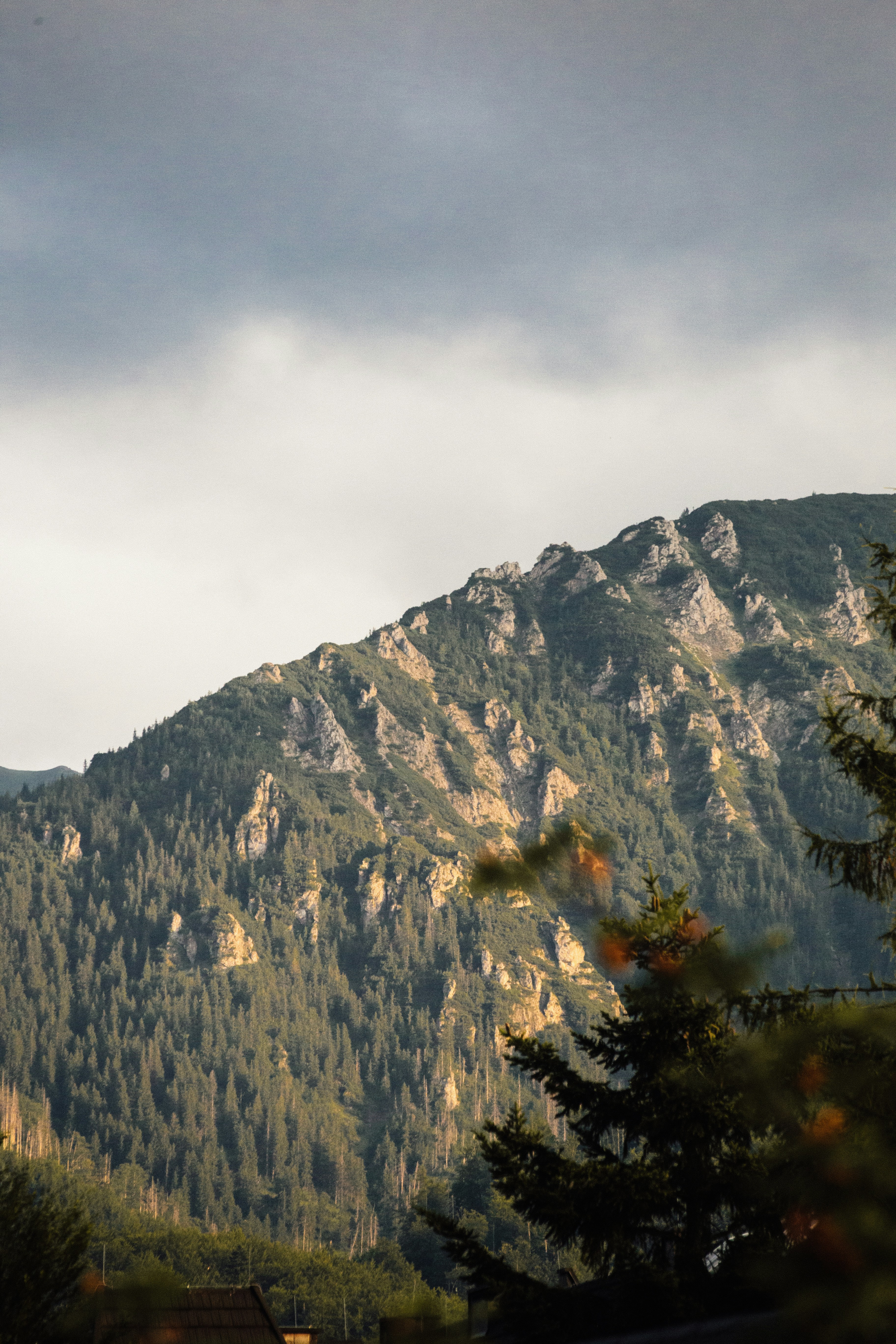 Photo by raymondpetrik