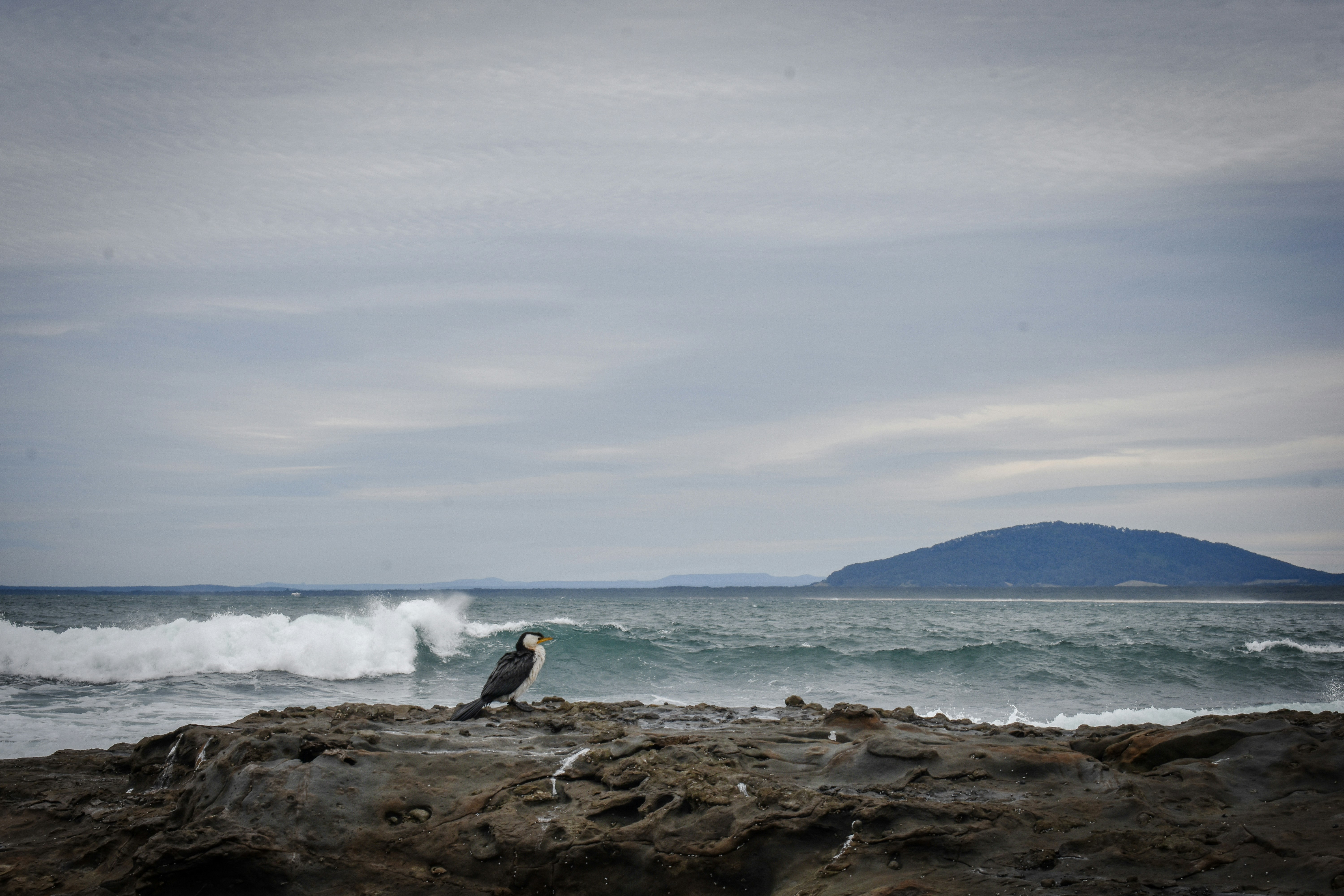 Photo by sneakygoblin036