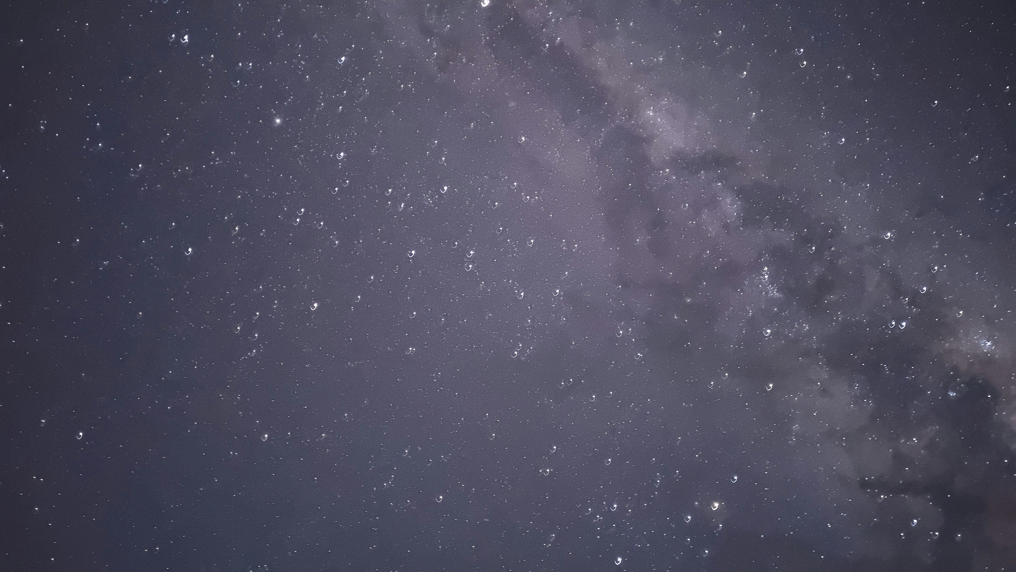 Photo by sneakygoblin036