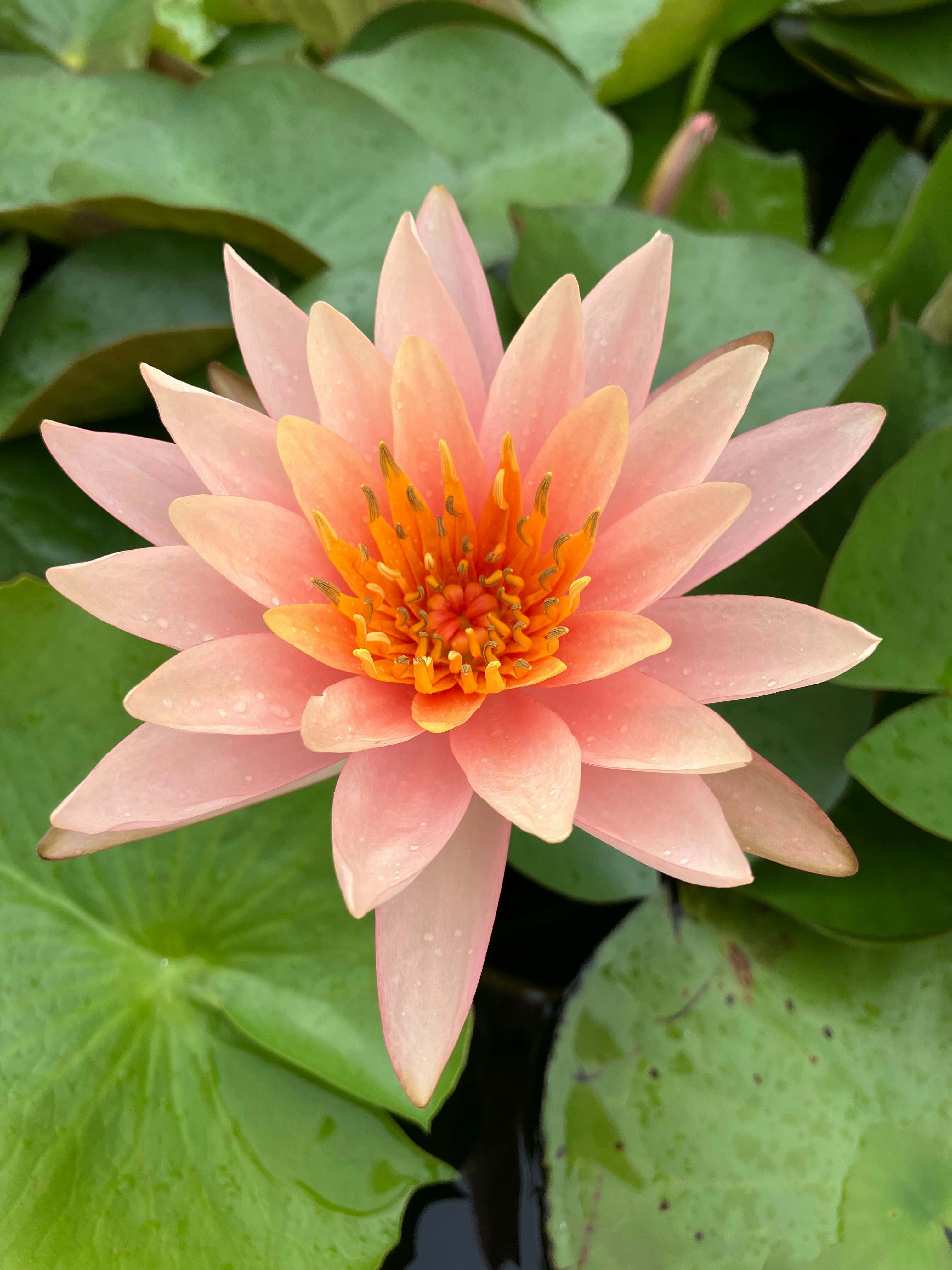 Photo by bunnyforlife