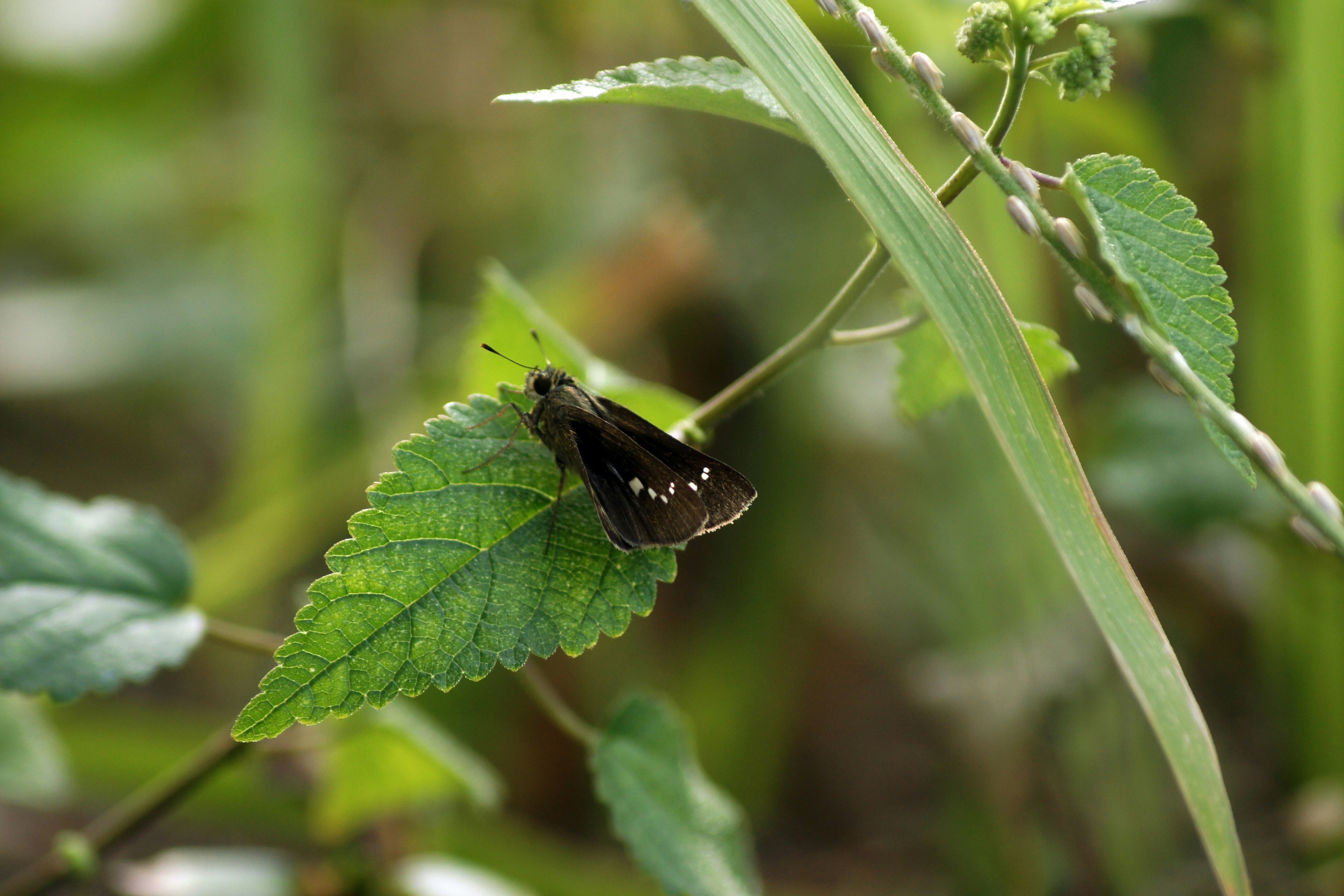 Photo by abrahamnoah