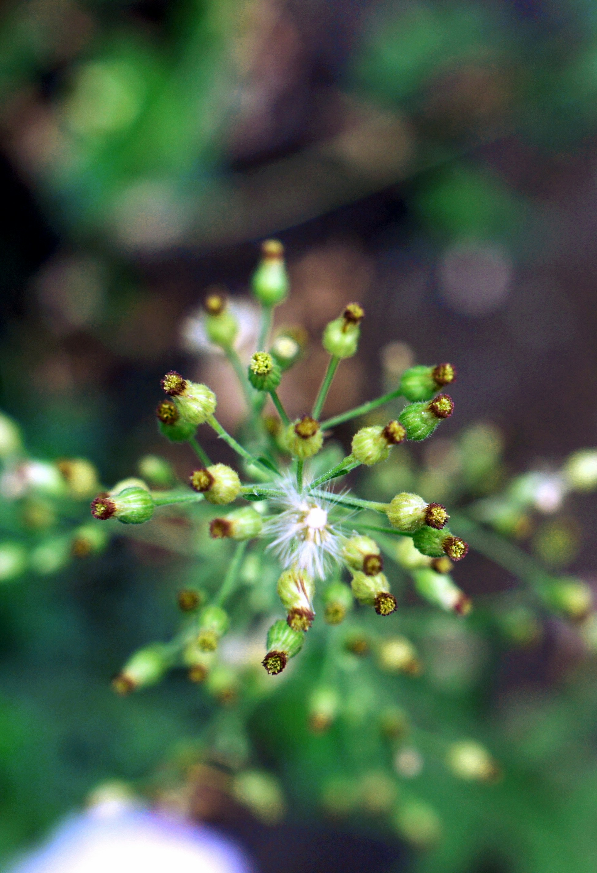 Photo by abrahamnoah