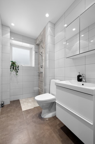 Bathroom wall art ideas for Indian homes