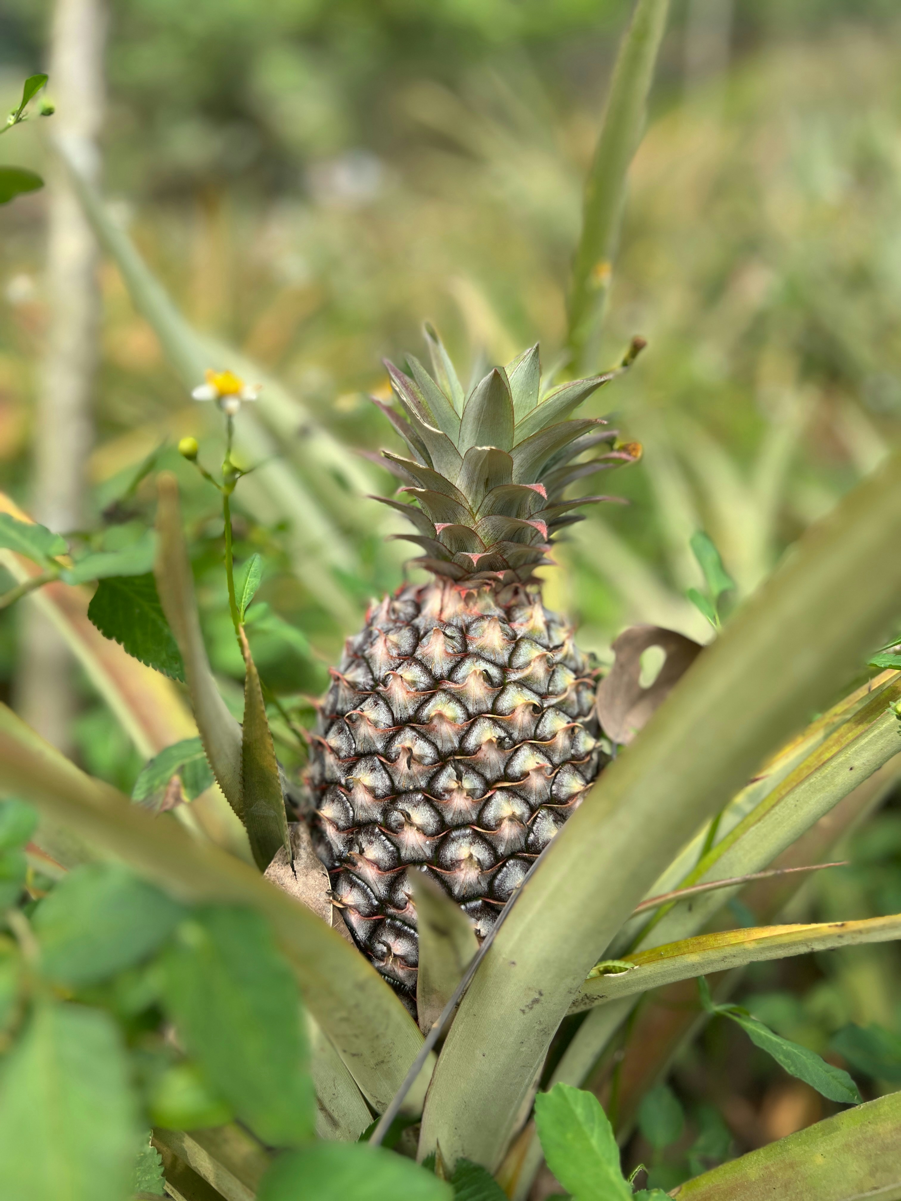 Photo by romyvreeswijk