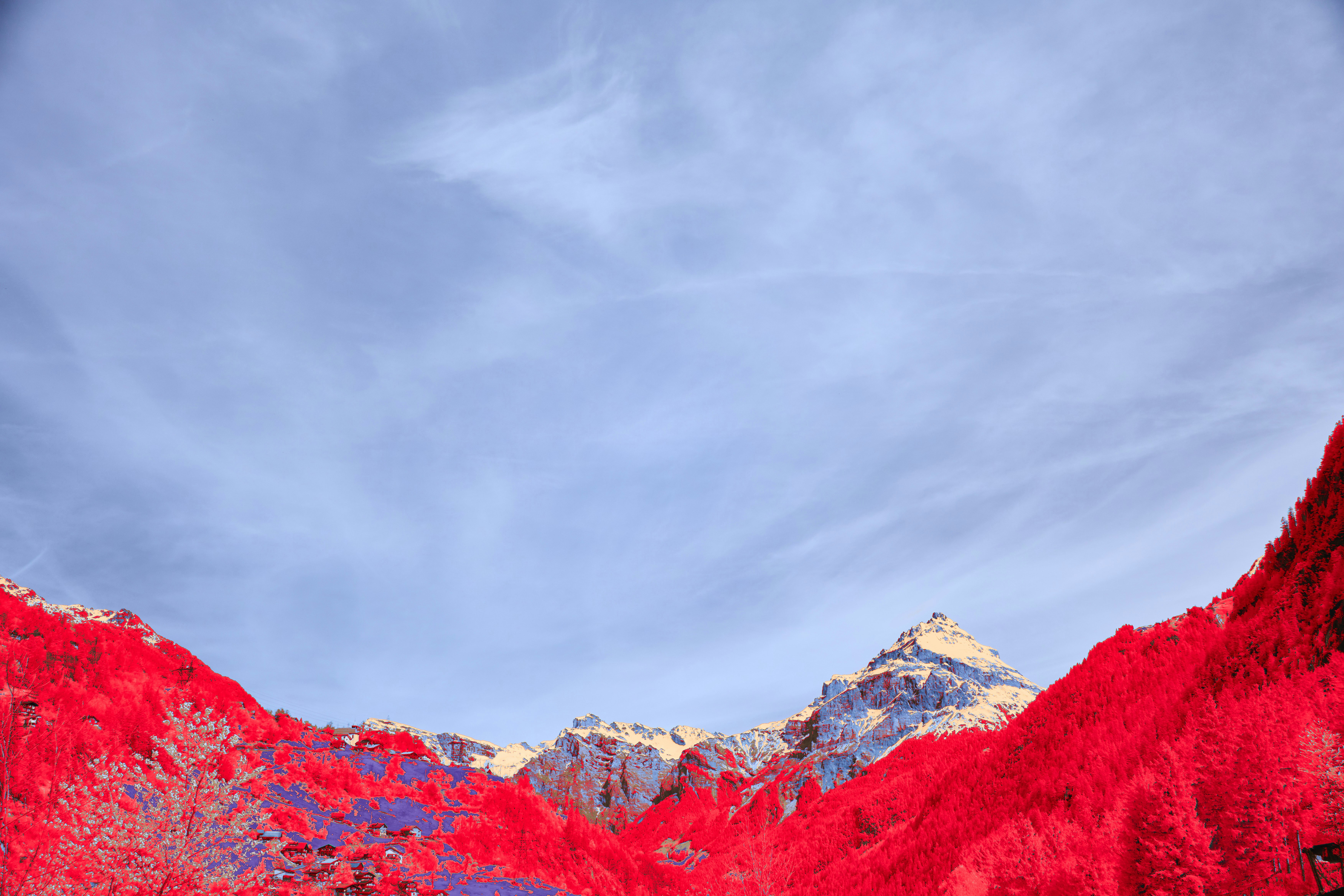 Photo by wolfgang_hasselmann