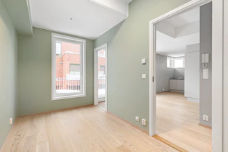 An empty room with green walls and wood floors