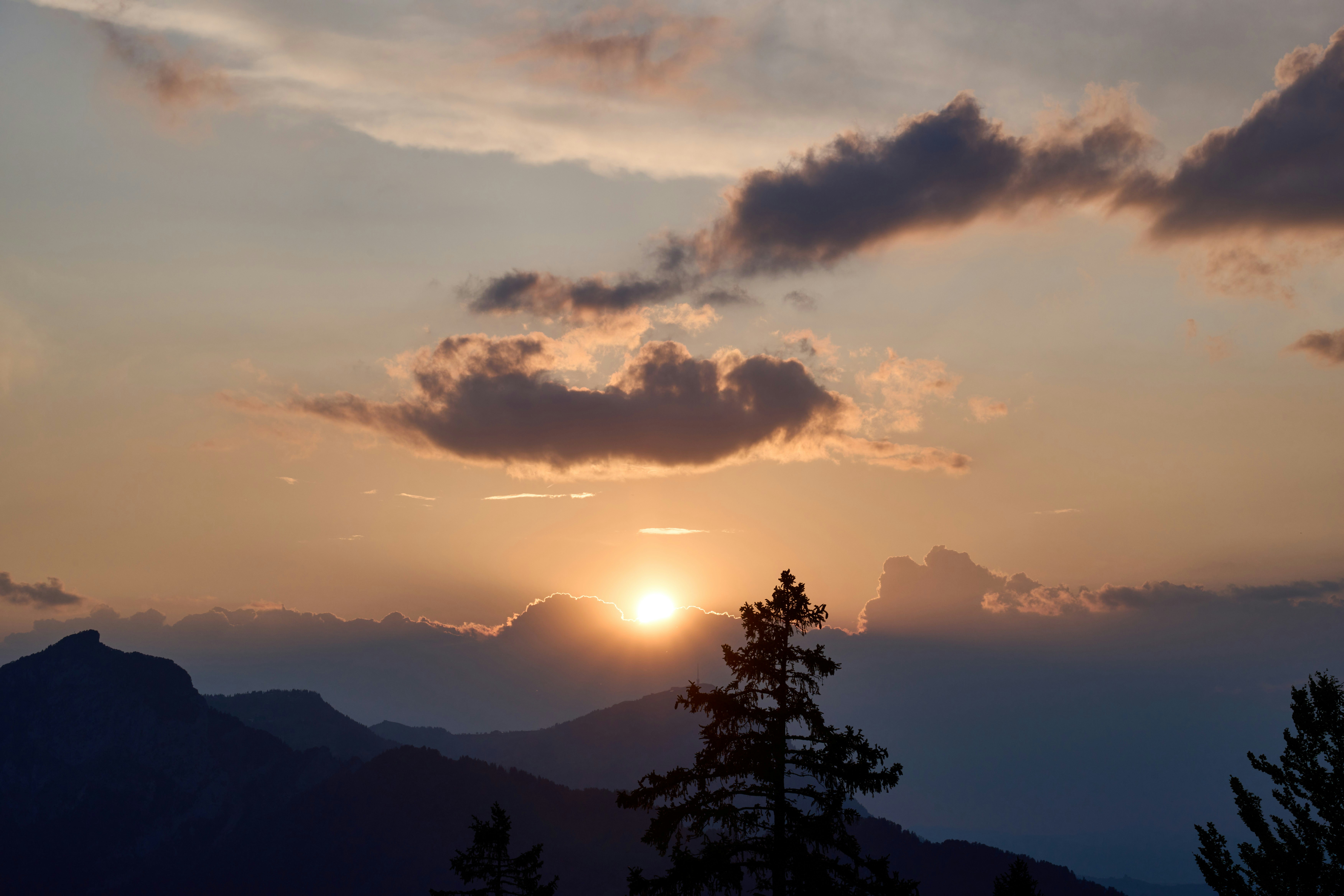 Photo by wolfgang_hasselmann