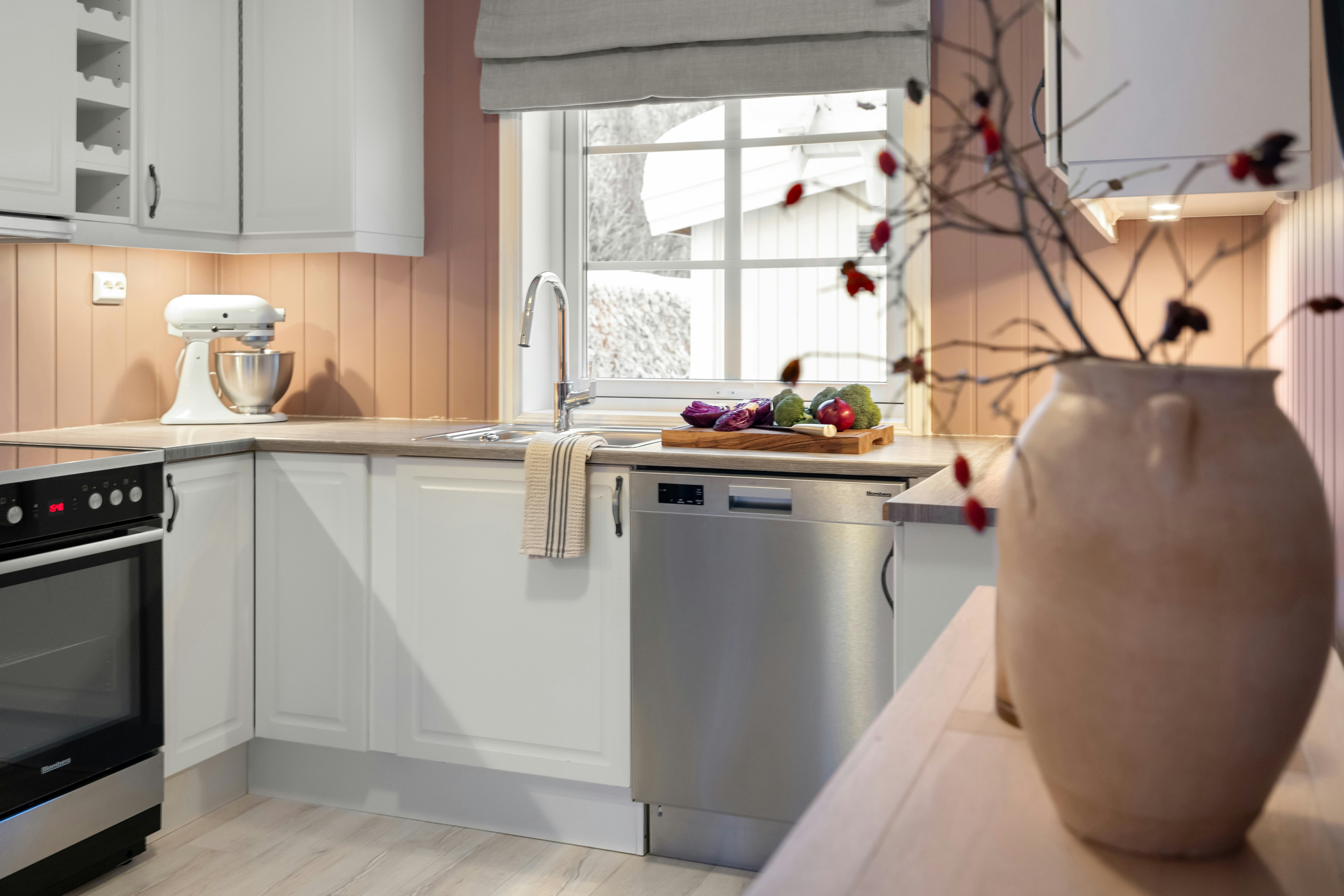 Kitchen with a stove, dishwasher and sink in a San Carlos home