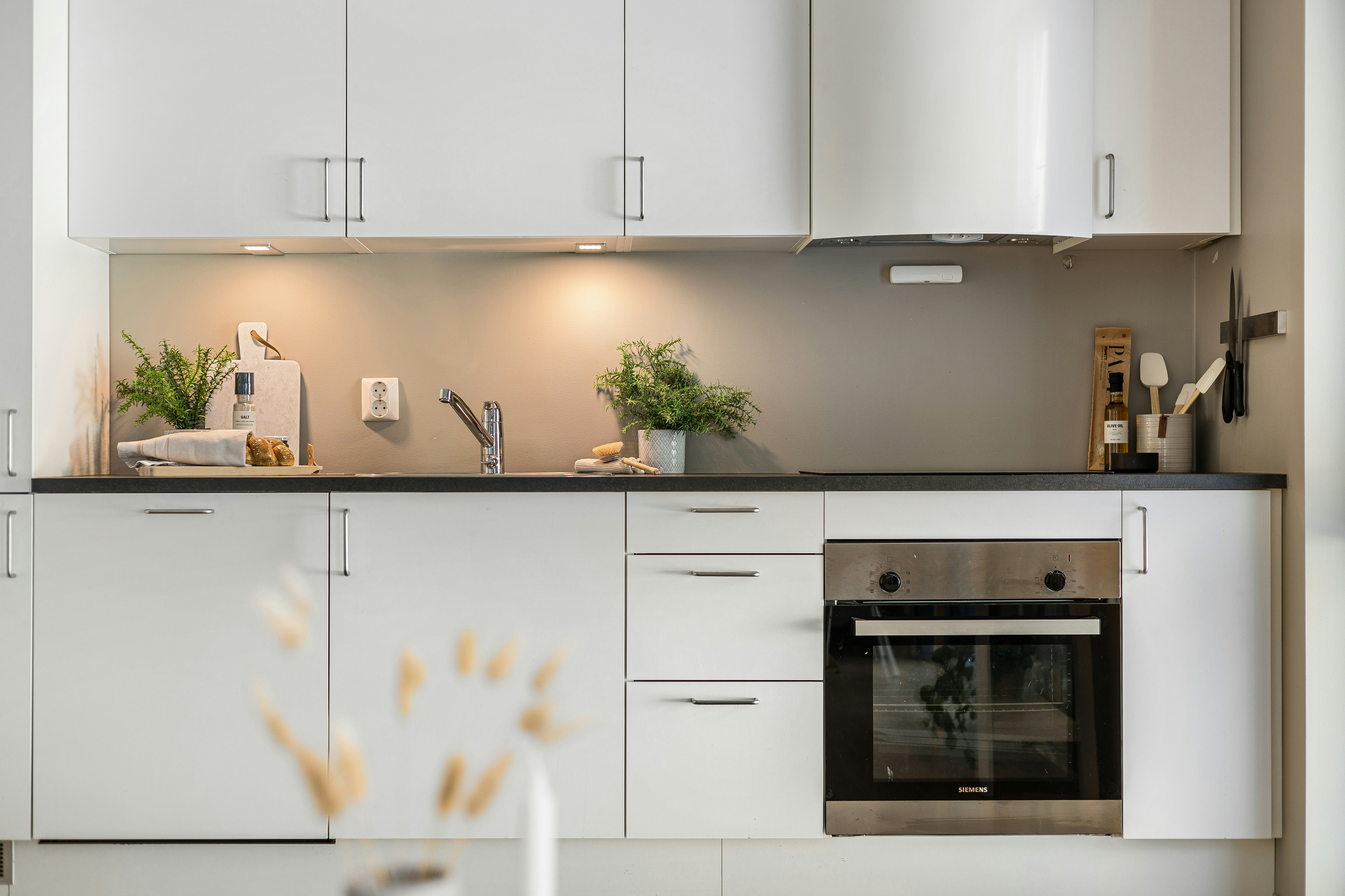 Photo by alextyson195