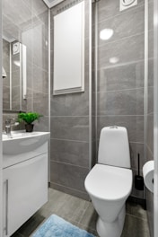 A white toilet sitting next to a white sink