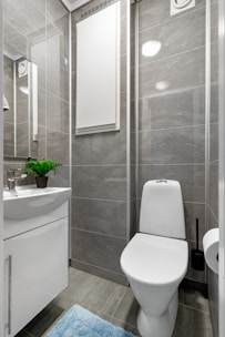 A white toilet sitting next to a white sink