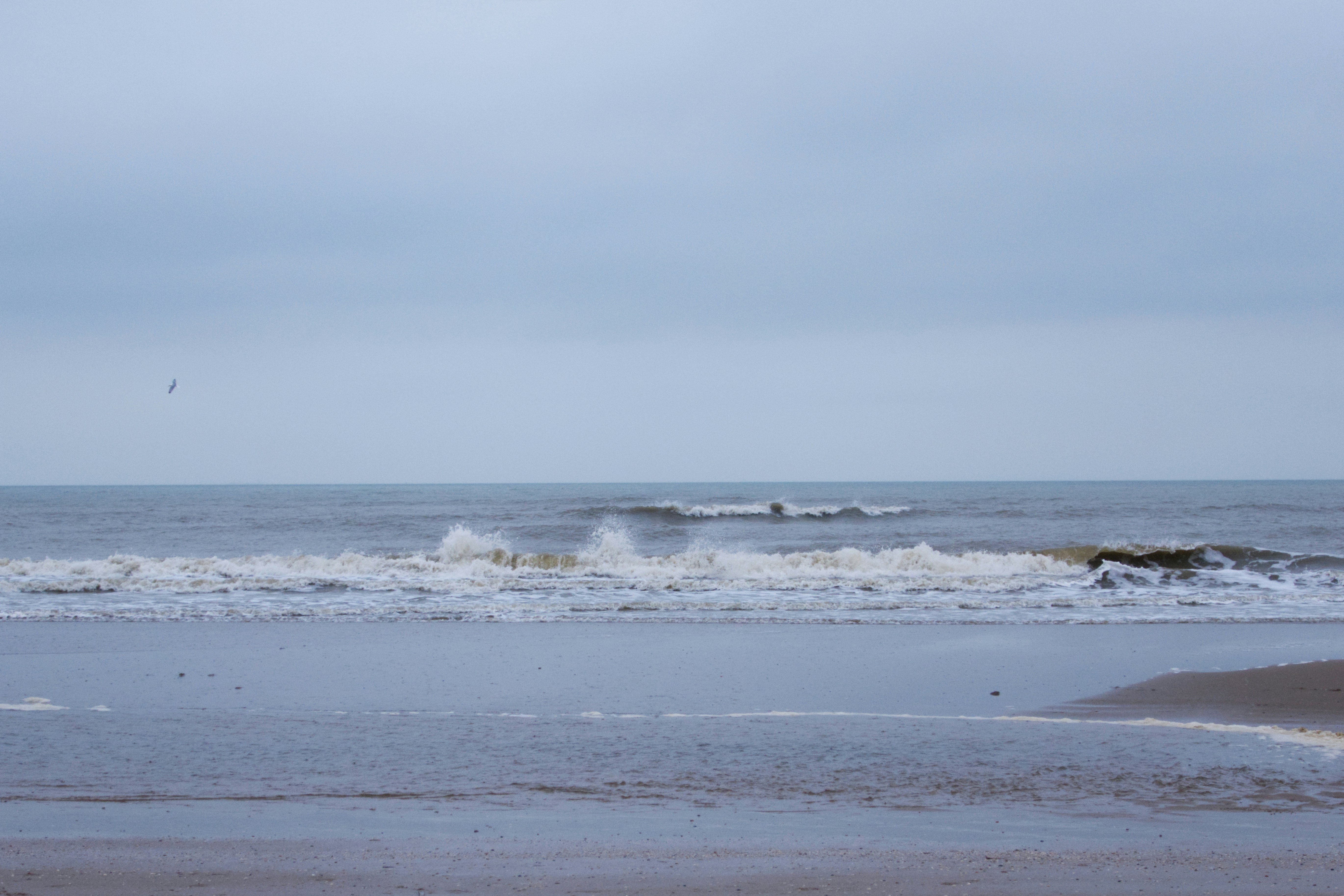 Photo by shortymcfea