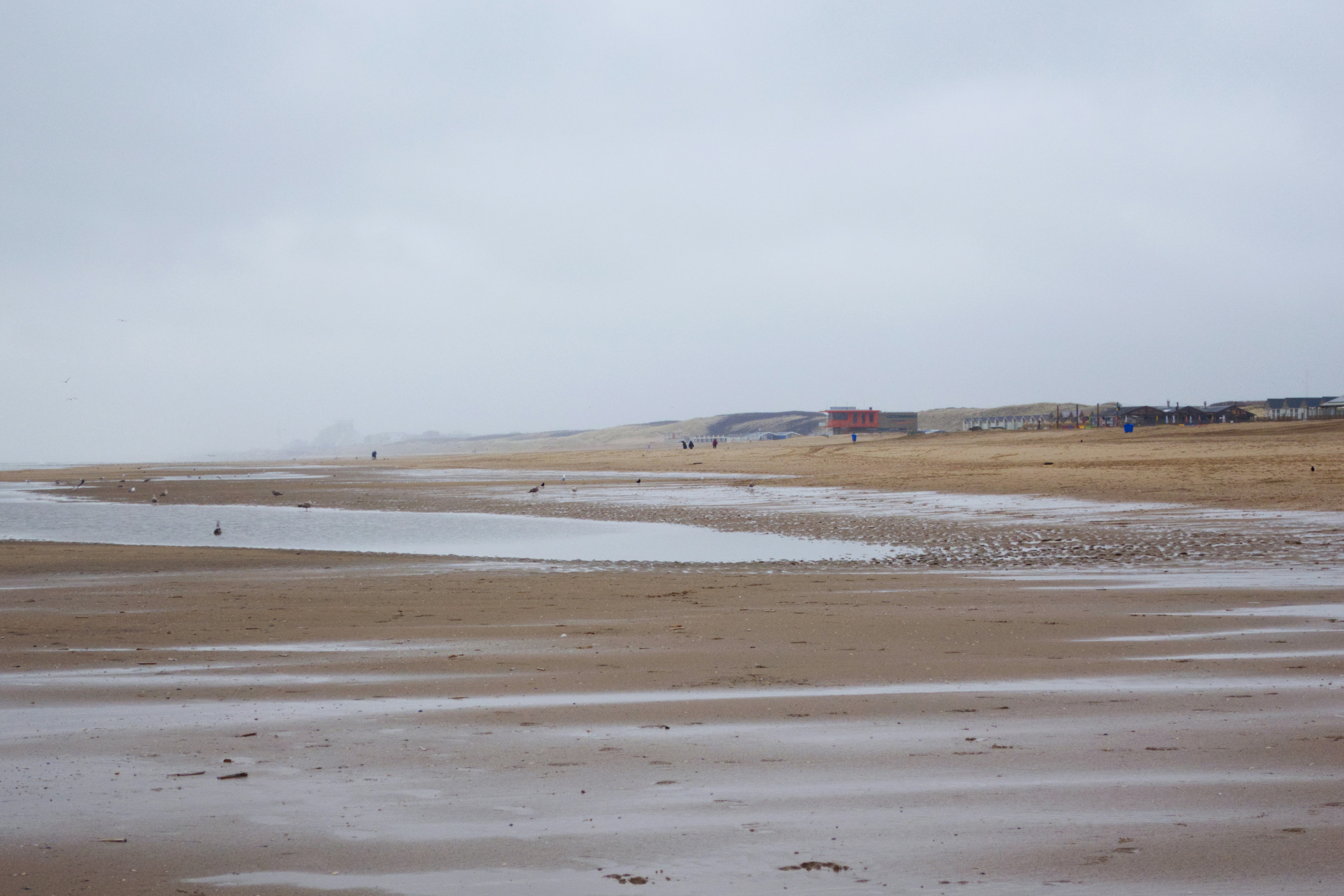 A sandy beach with a few houses in the distance