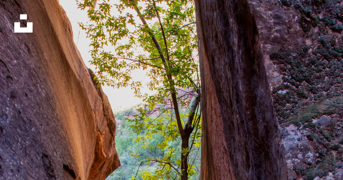 Path Between The Rocks A narrow narrow path between two large rocks photo – Free Path Image on ...