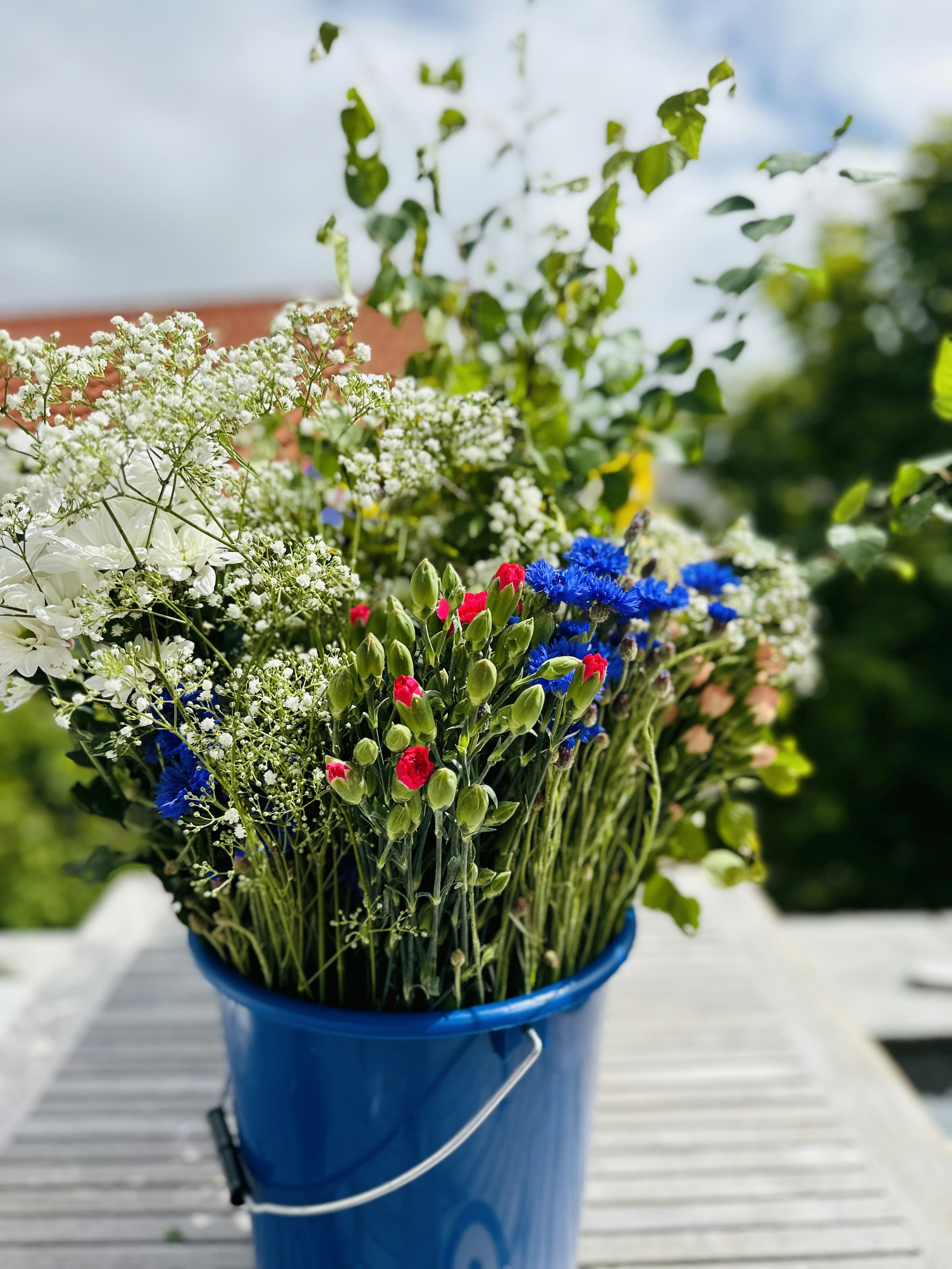 Photo by majakoppfeldt