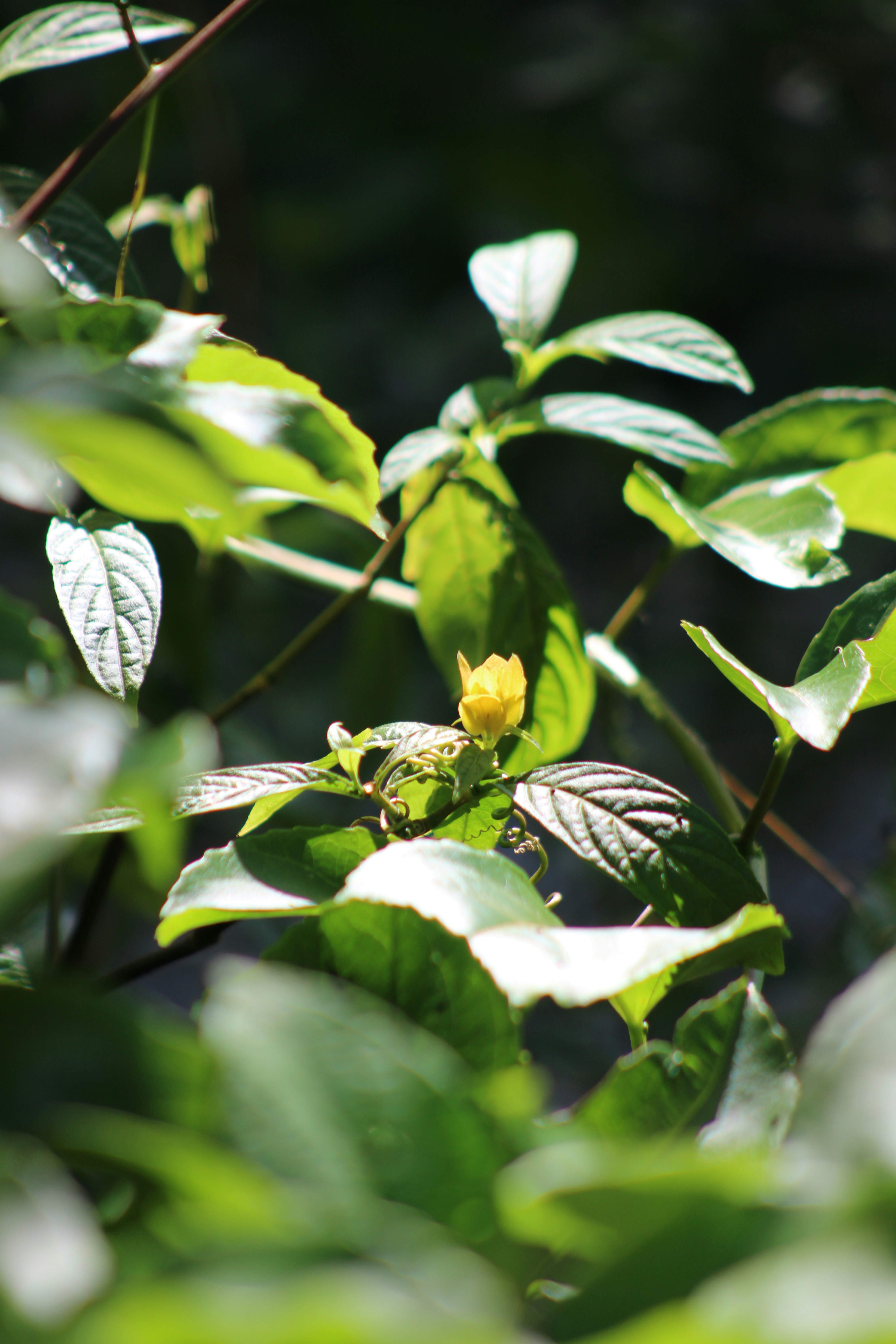 Photo by loaizaperez