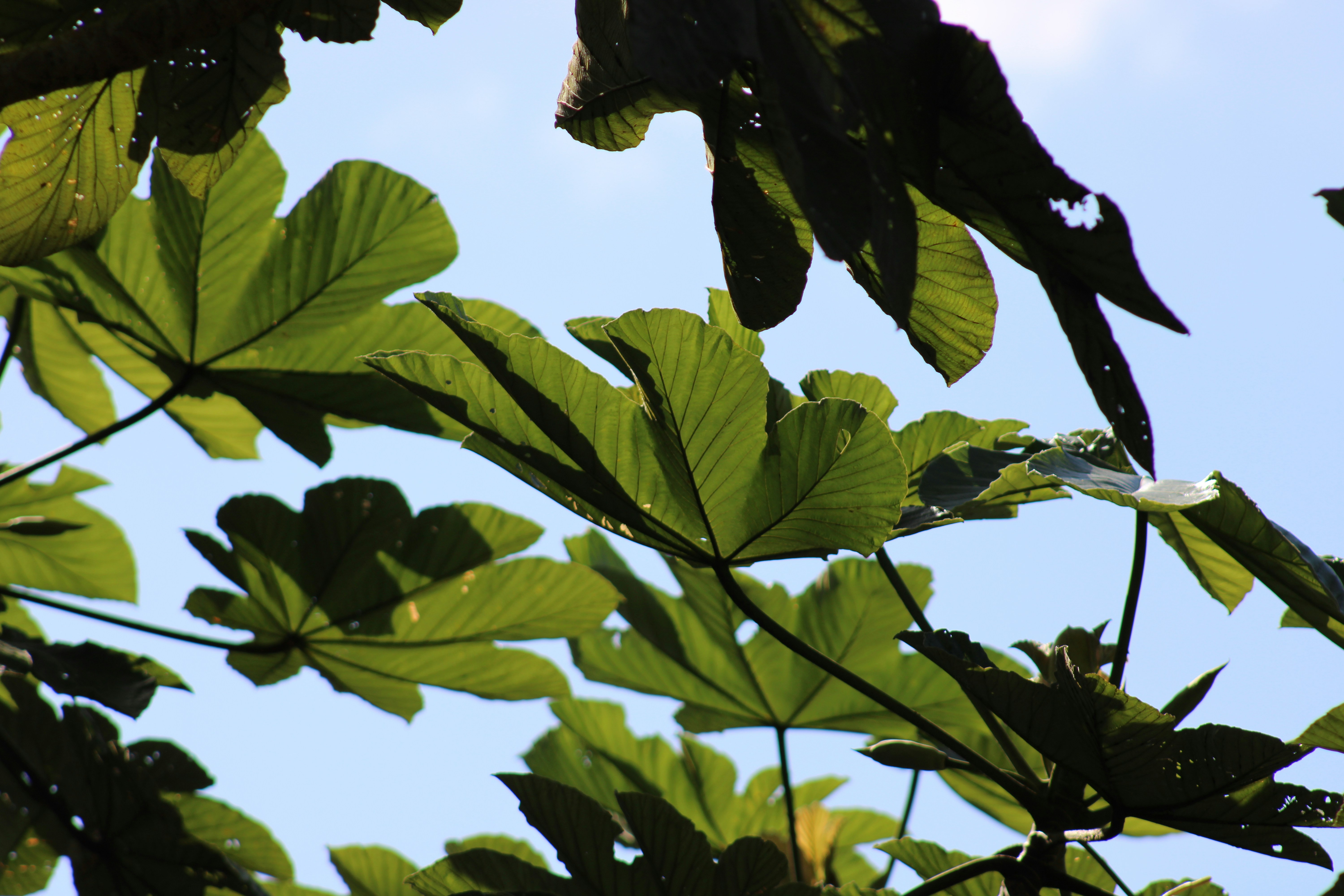 Photo by loaizaperez