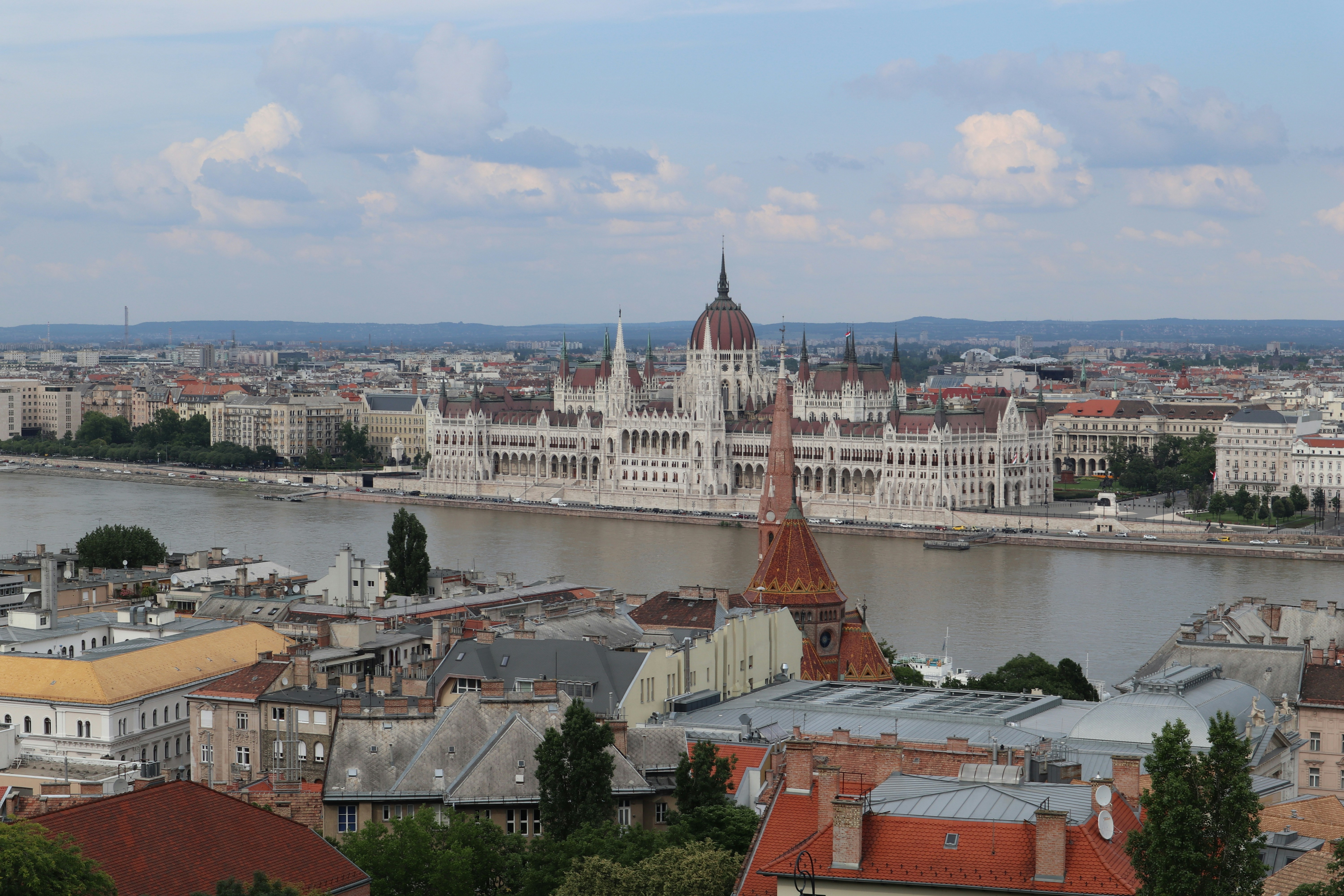 Photo by balint_miko