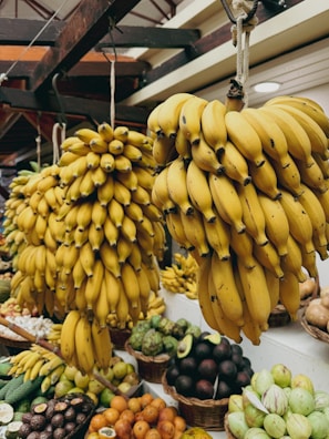 A bunch of bananas hanging from the ceiling of a market