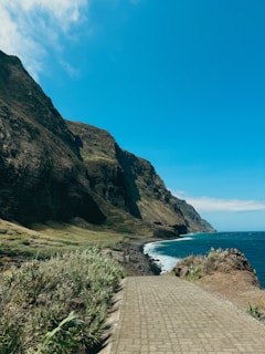 A brick path leading to the ocean on a sunny day