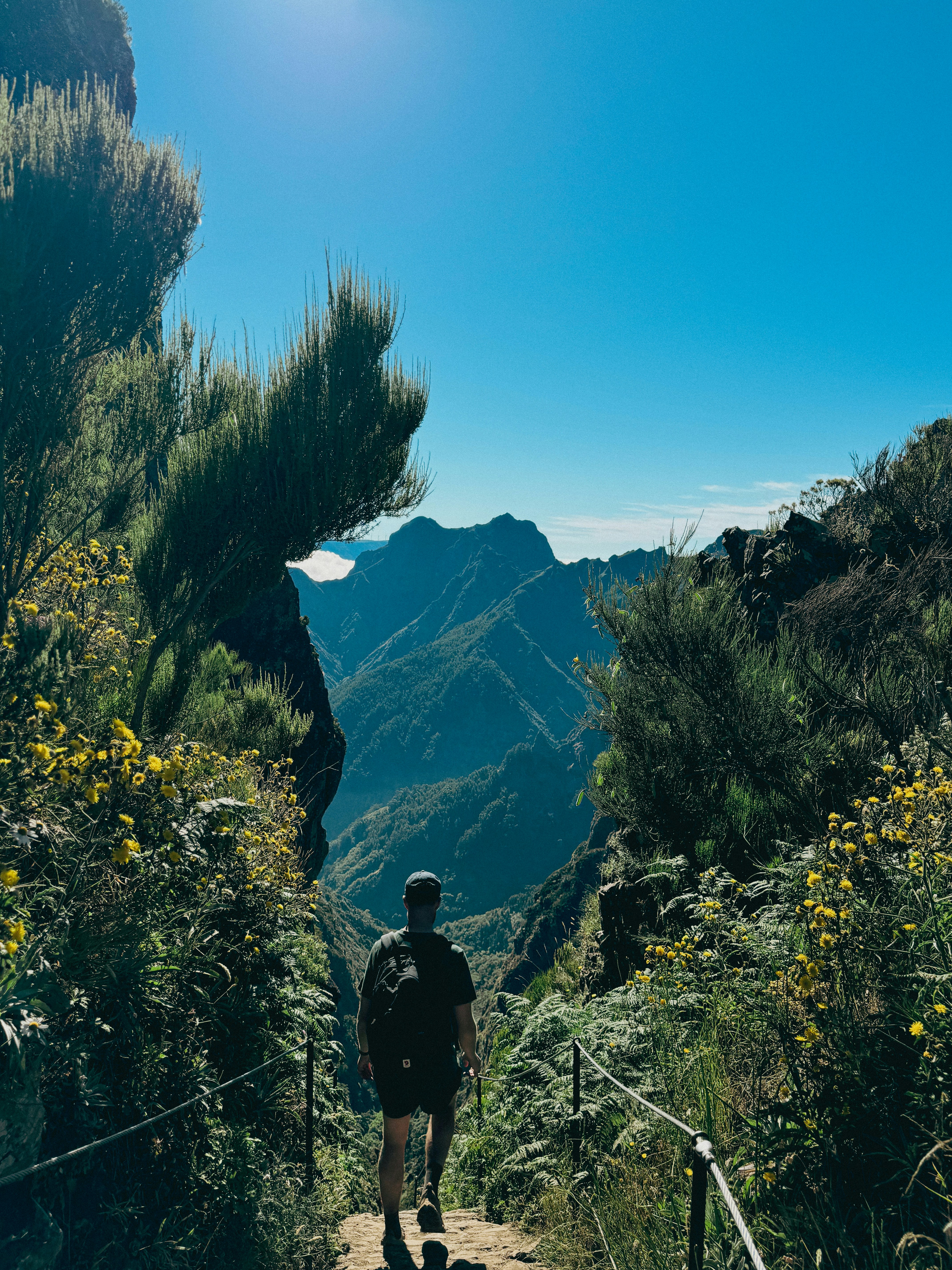 Money-Saving Strategies for Art Island Hopping