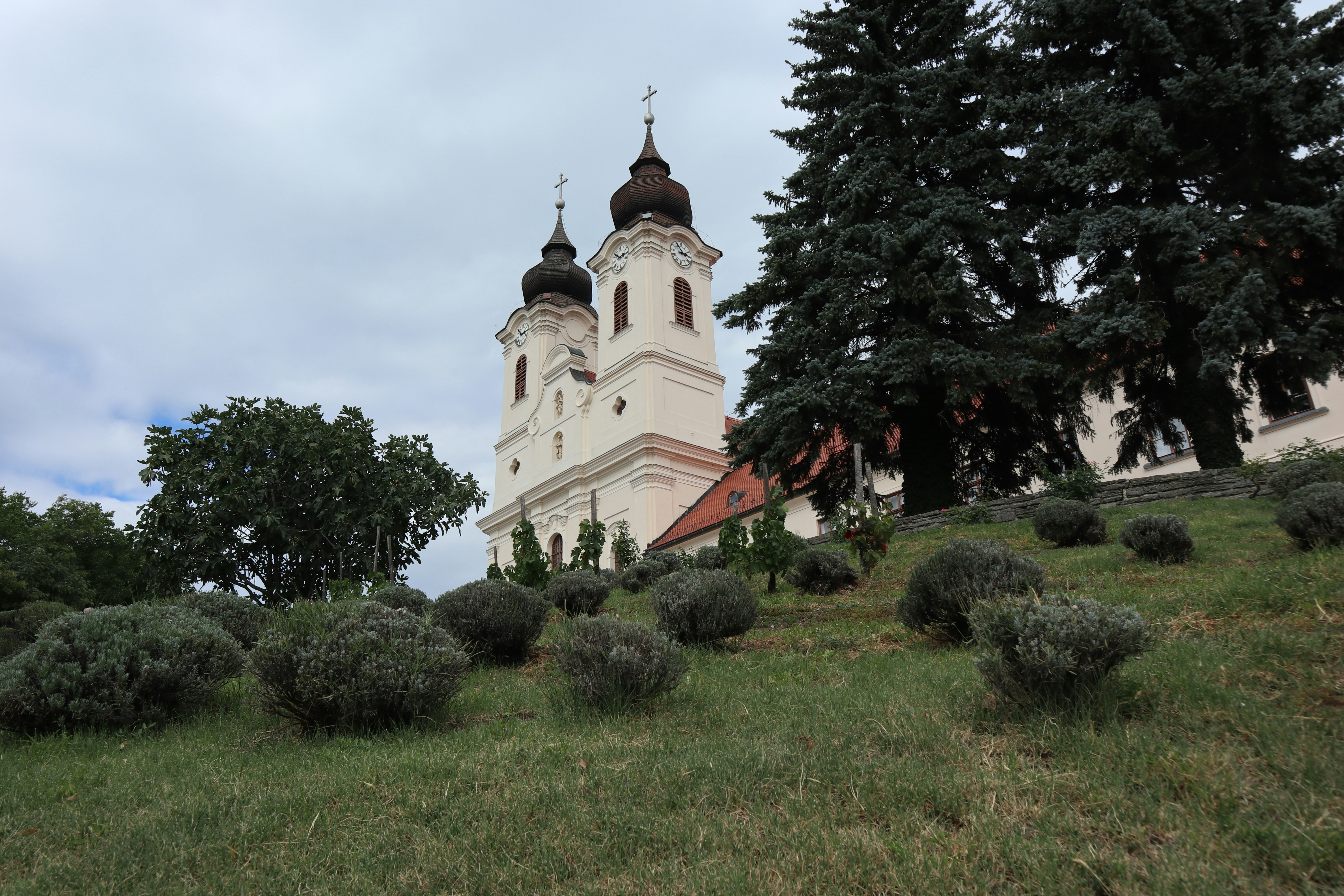 Photo by balint_miko