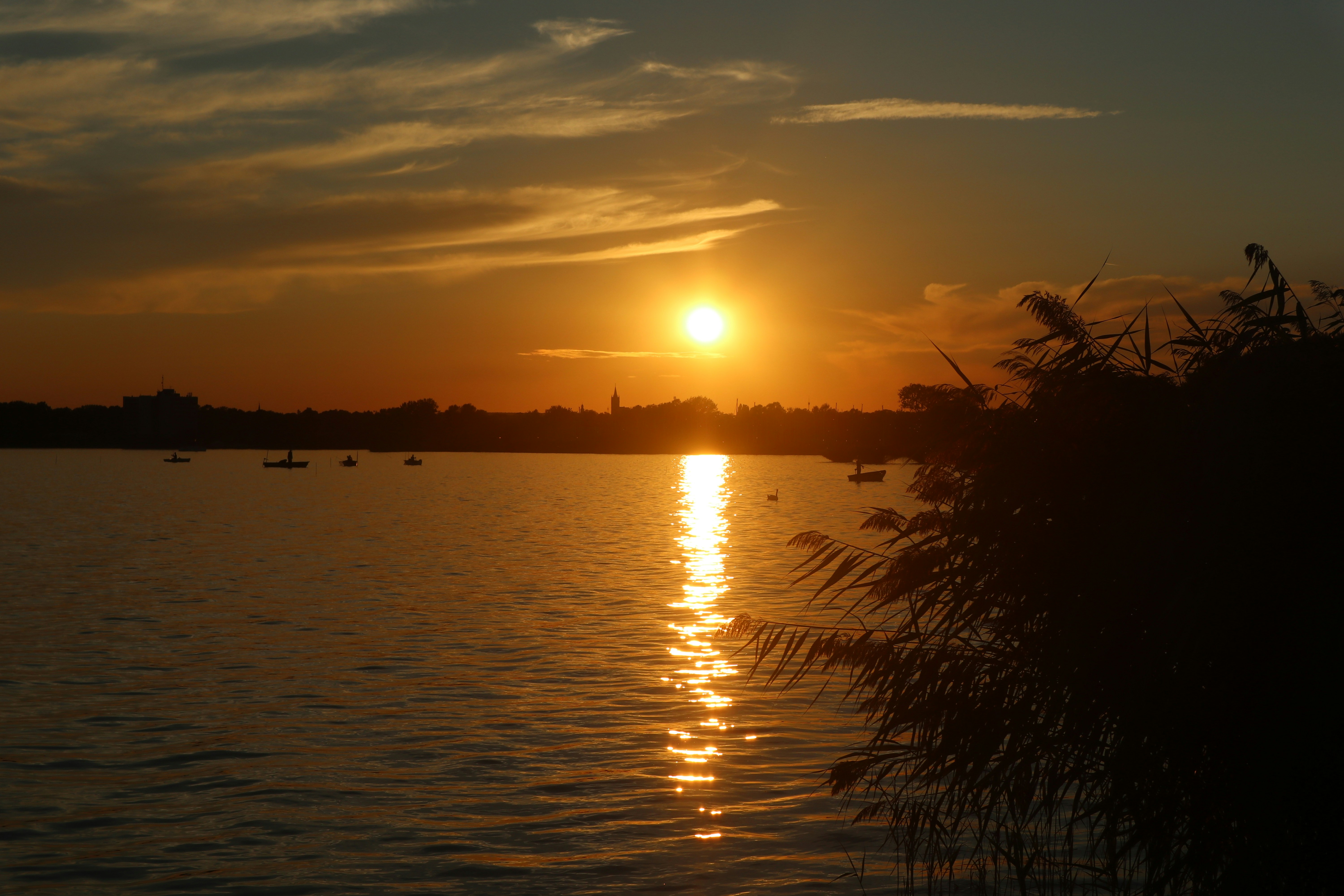 Photo by balint_miko