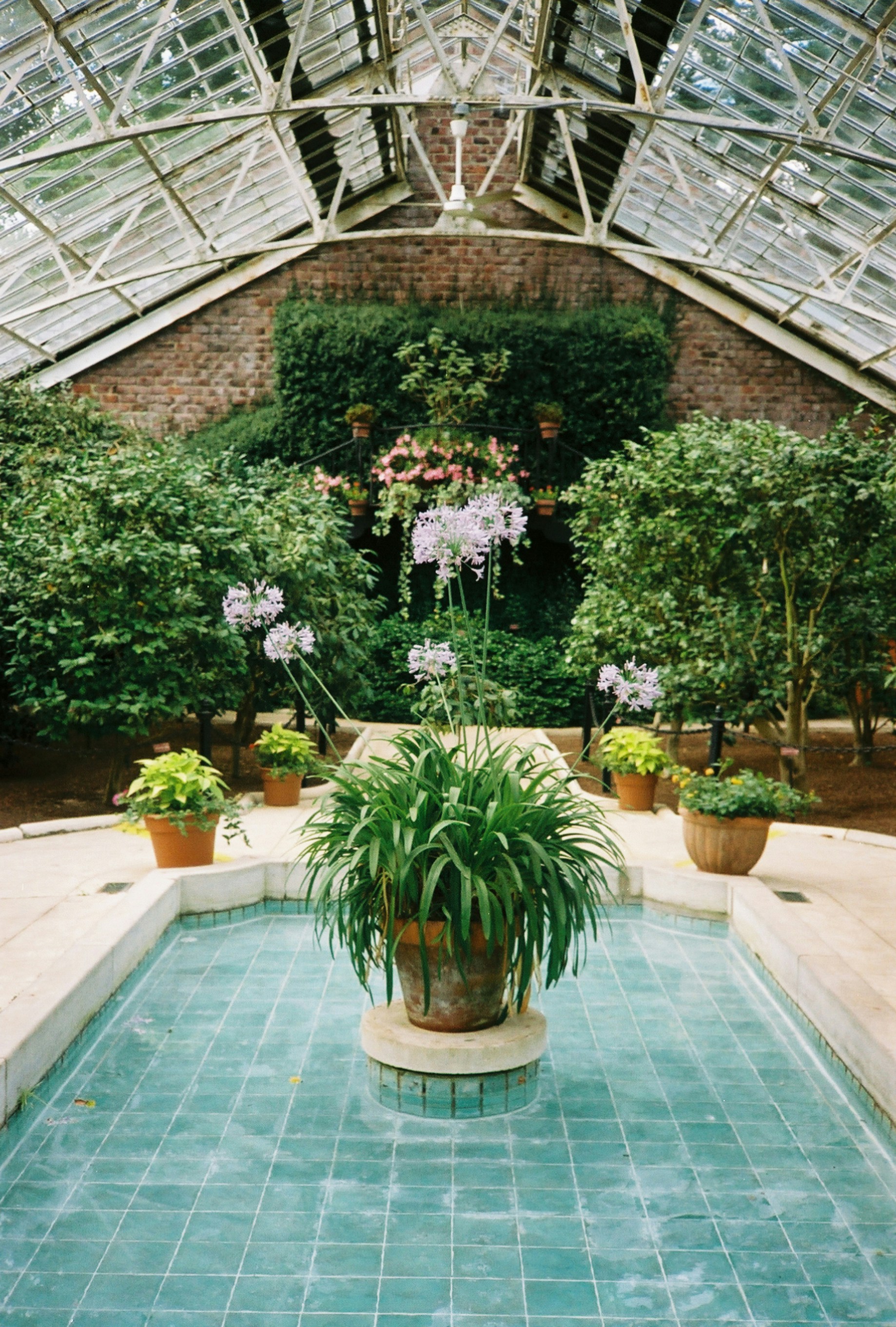 Photo by marthamonjaras