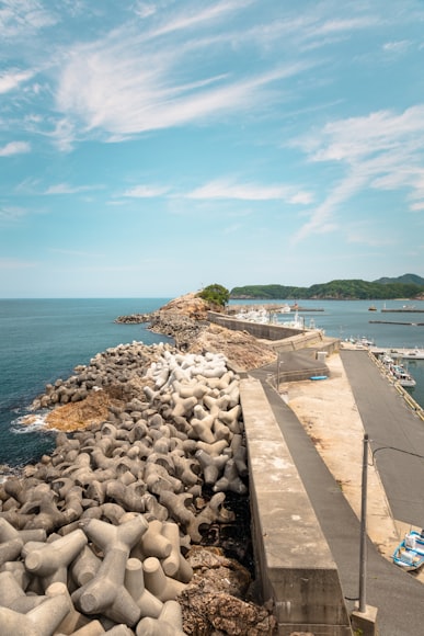 
1. 空运
a. 影响空运价格的因素
i. 燃油附加费
ii. 安检费
iii. 货站操作费
iv. 航空公司收费标准
v. 旺季附加费
b. 不同空运服务的价格差异
i. 直飞 vs. 转运
ii. 快递 vs. 普通空运
2. 海运
a. 影响海运价格的因素
i. 港口拥堵费
ii. 燃油附加费
iii. 集装箱类型 (20尺, 40尺, LCL)
iv. 季节性波动
b. 整箱 (FCL) vs. 拼箱 (LCL) 的成本比较
3. 快运/快递
a. 主要快递公司的价格对比 (DHL, FedEx, UPS, 等)
b. 快递价格的重量和体积计算方式
c. 紧急程度对价格的影响
B. 