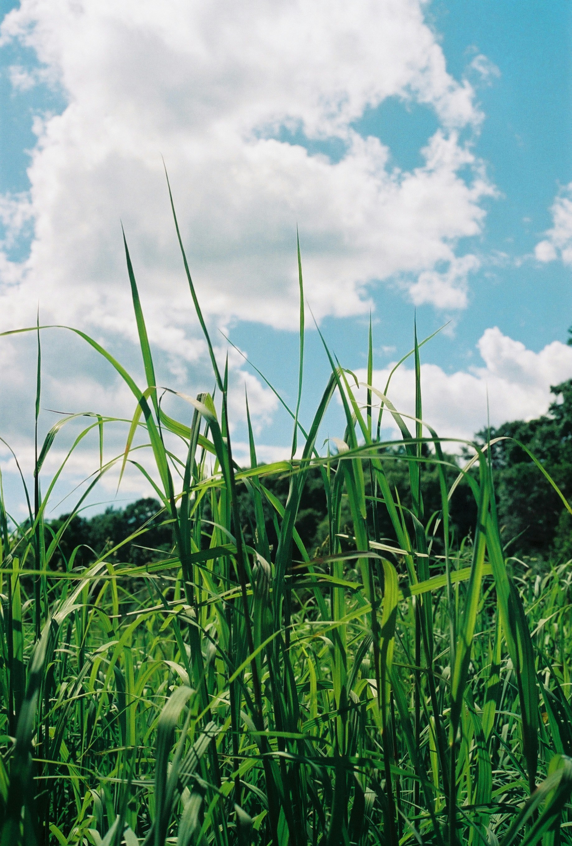 Photo by marthamonjaras