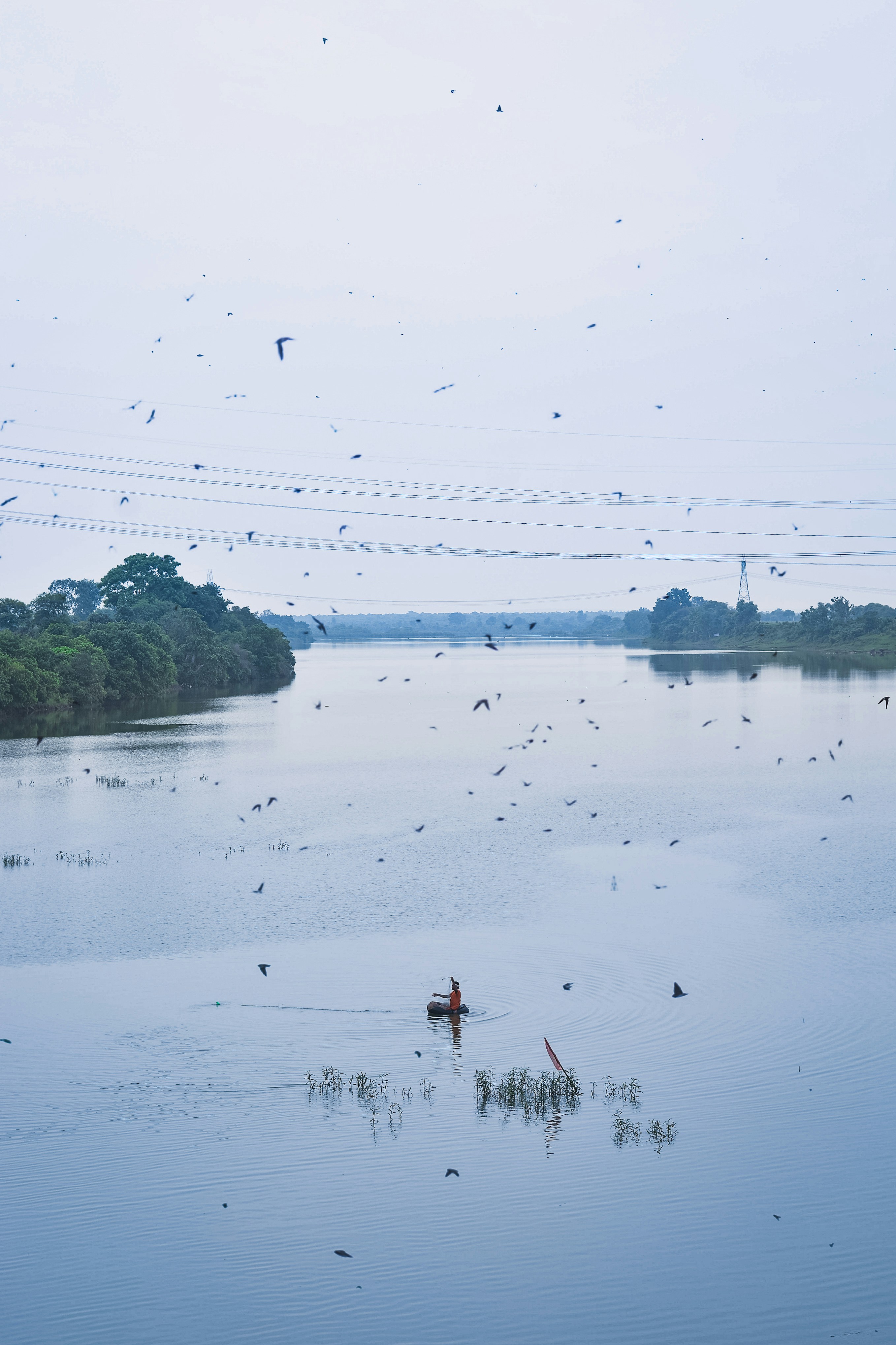 A large body of water surrounded by trees