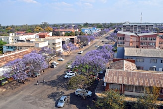 A view of a street with cars parked in front of buildings