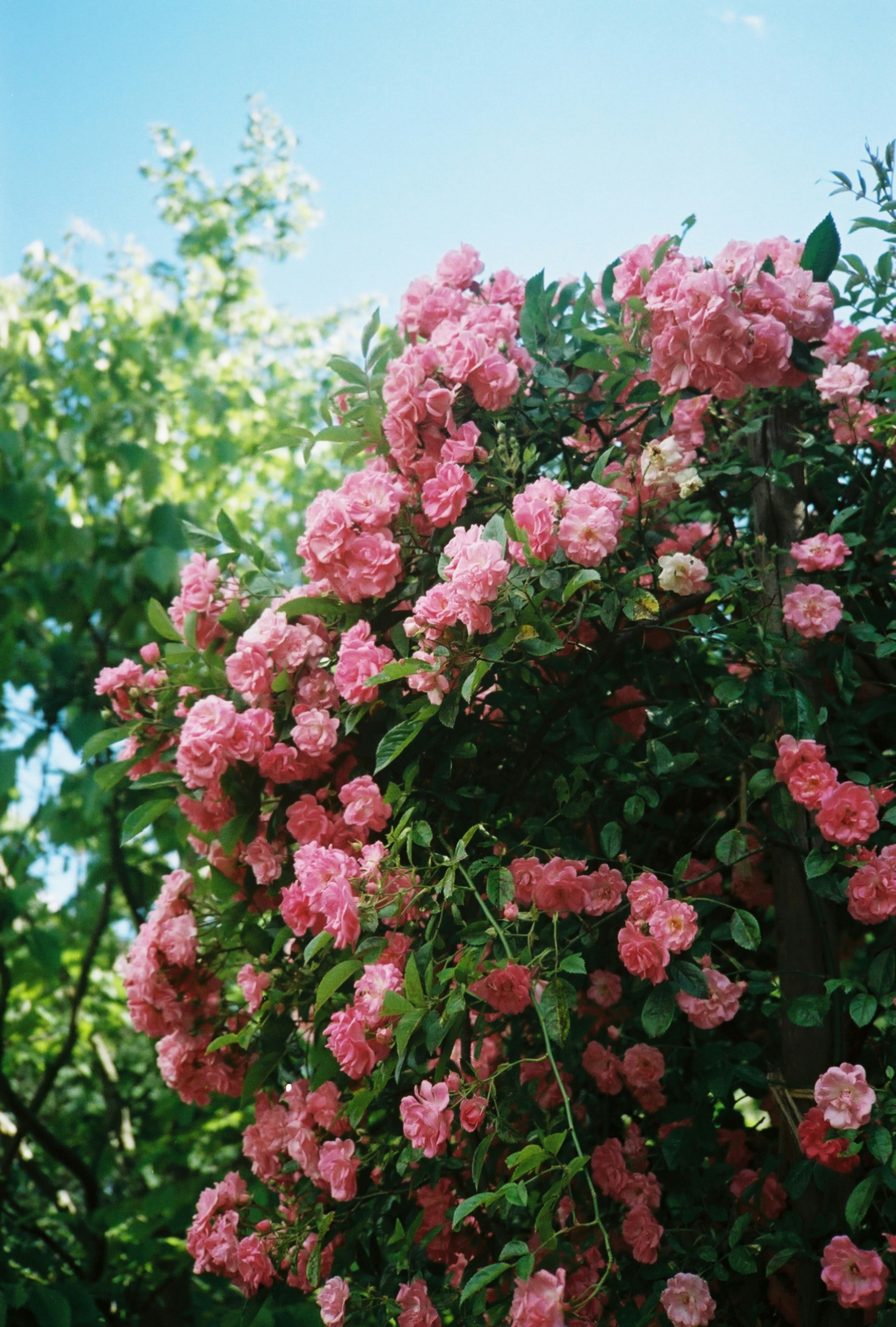 Photo by marthamonjaras