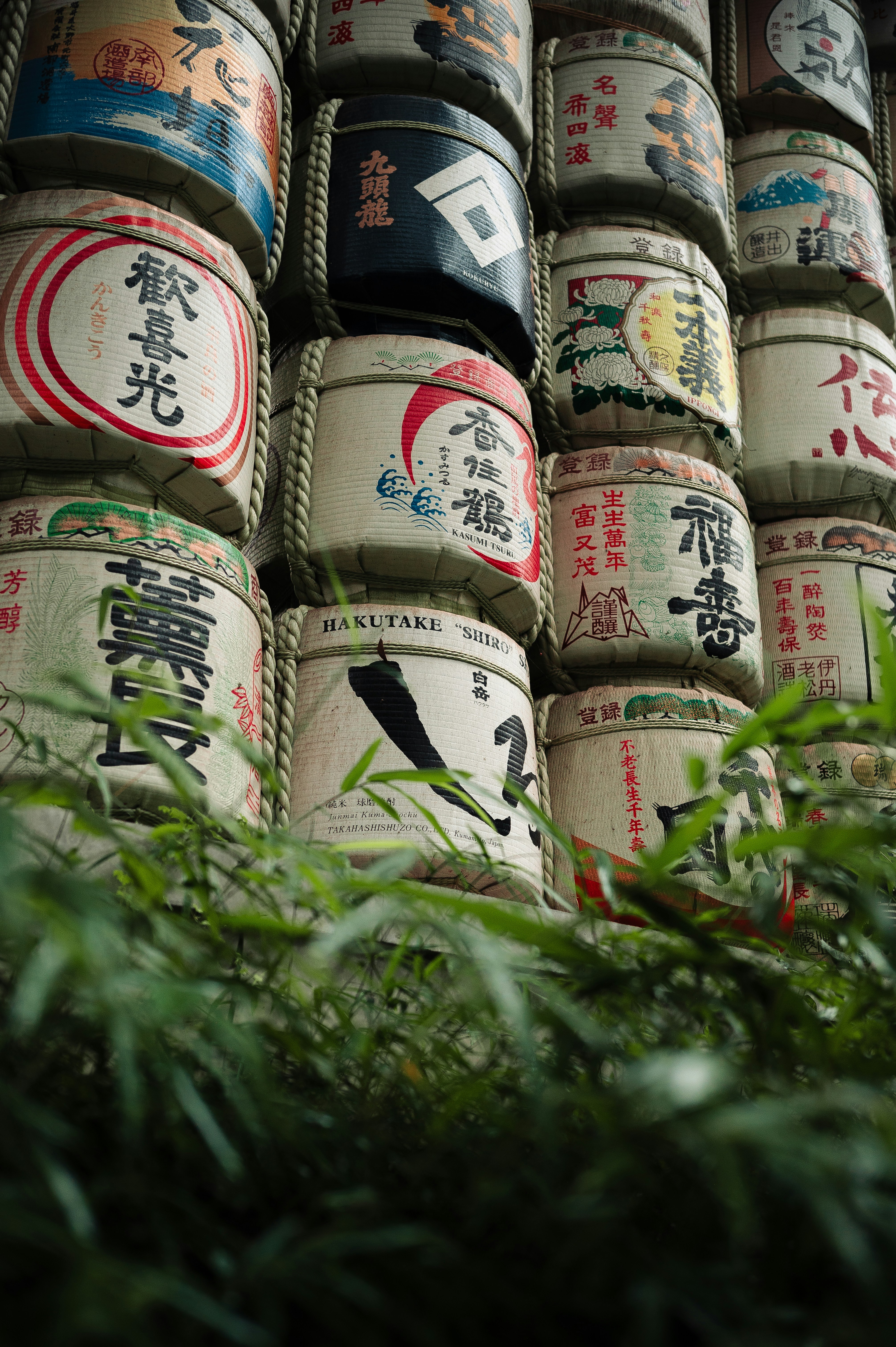 Rice field and mountains in rural Japan